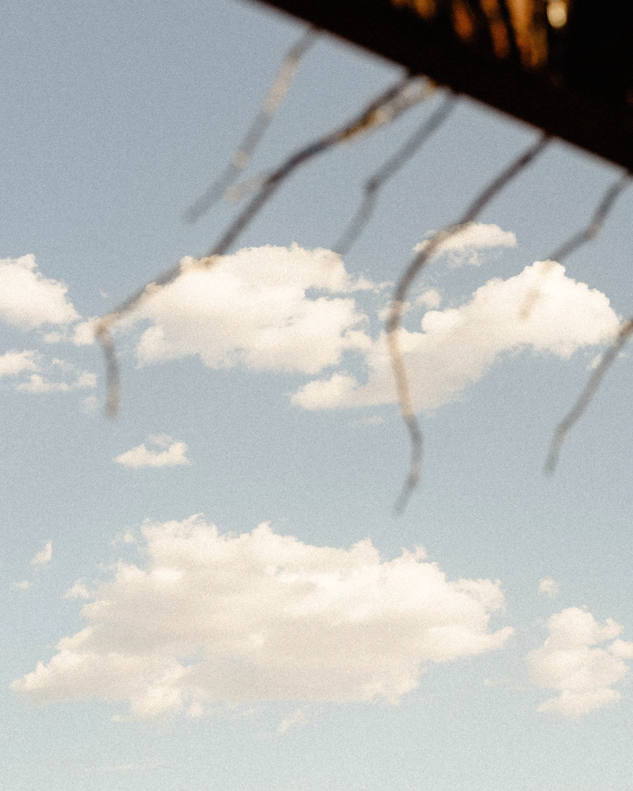 DSCF7227.jpg