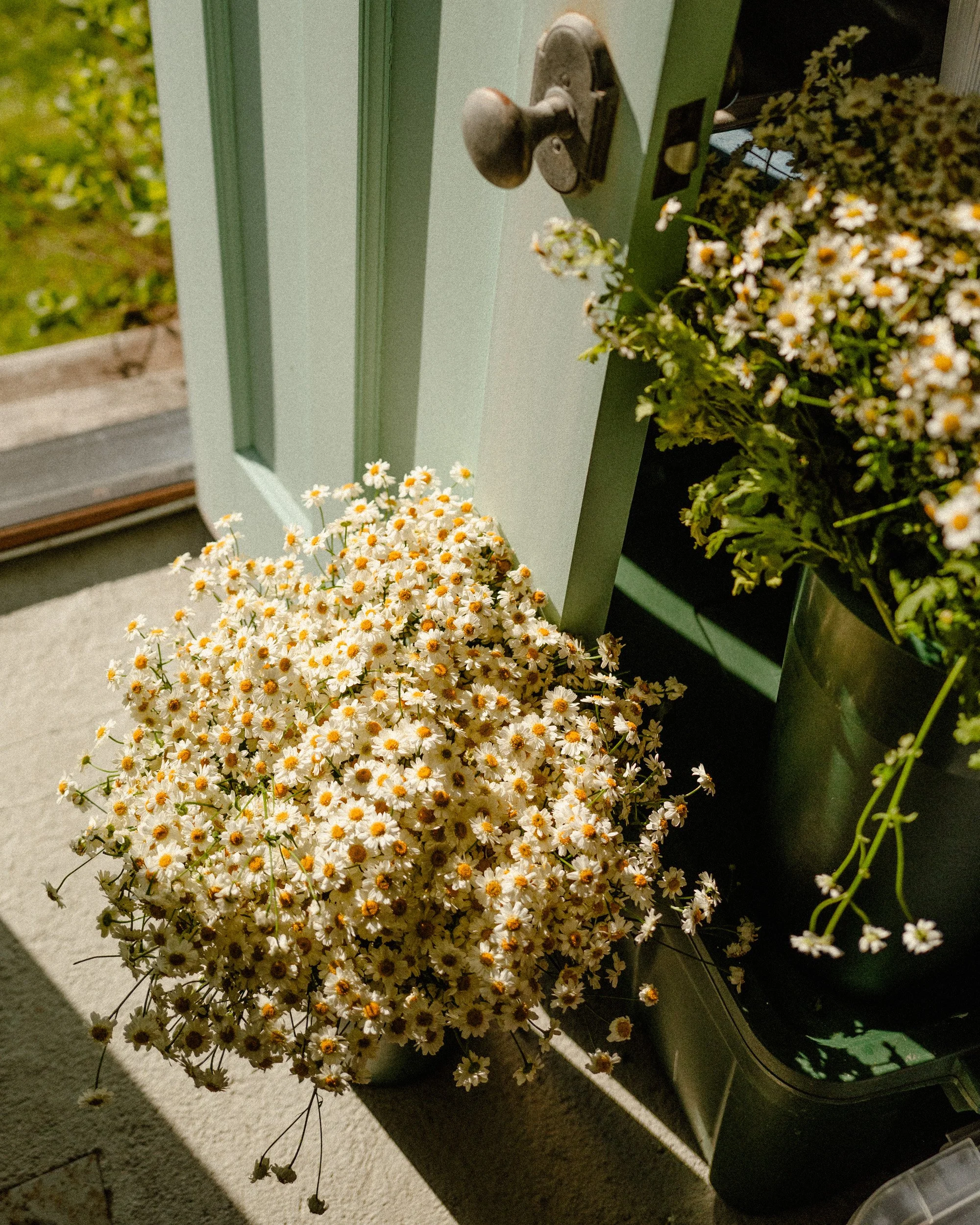 L1010426.jpg