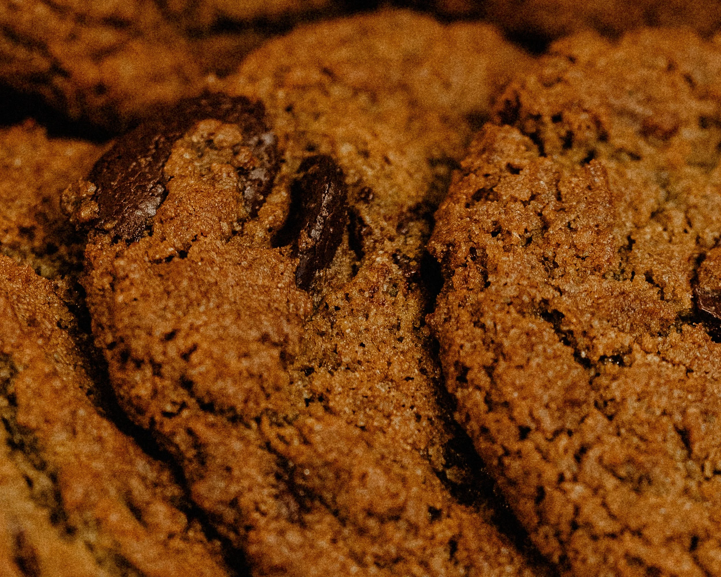 DSCF9714.jpg