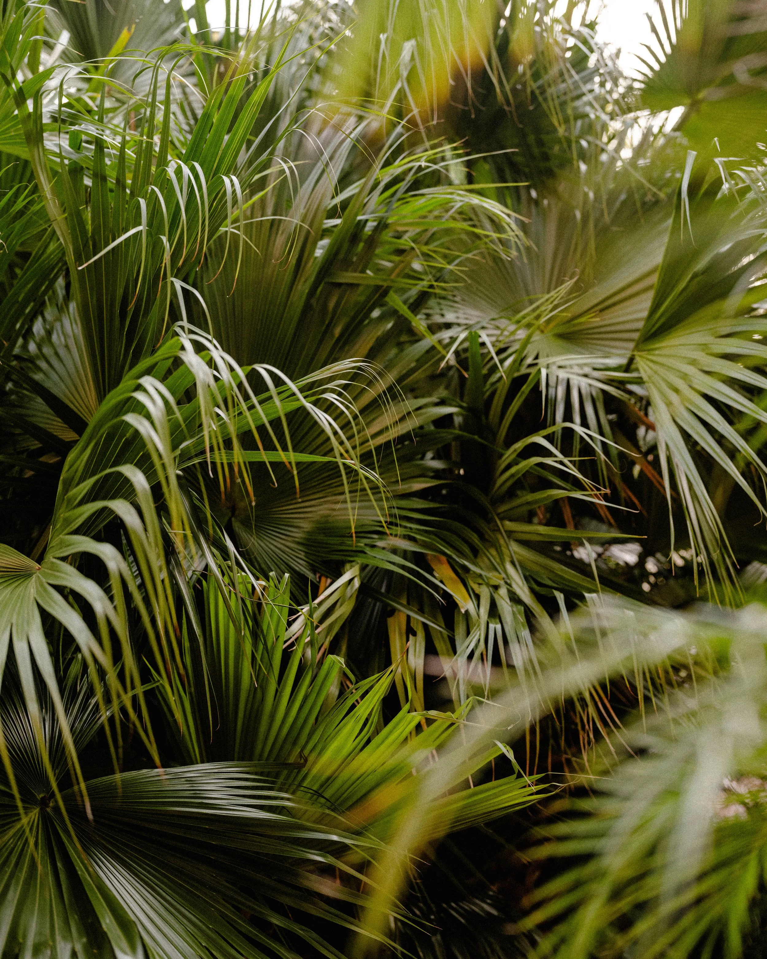 DSCF4327.jpg