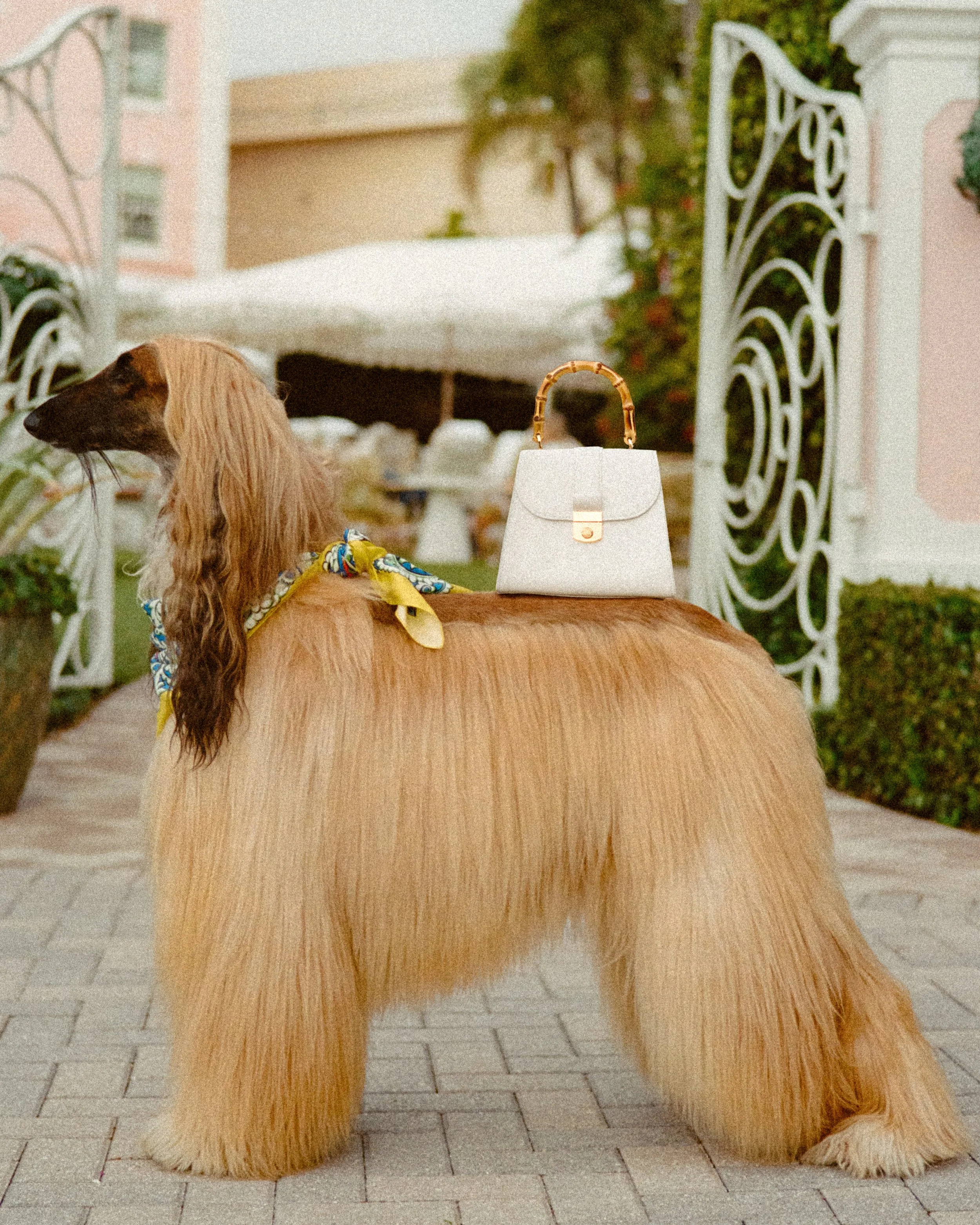 Art Direction | Editorial 