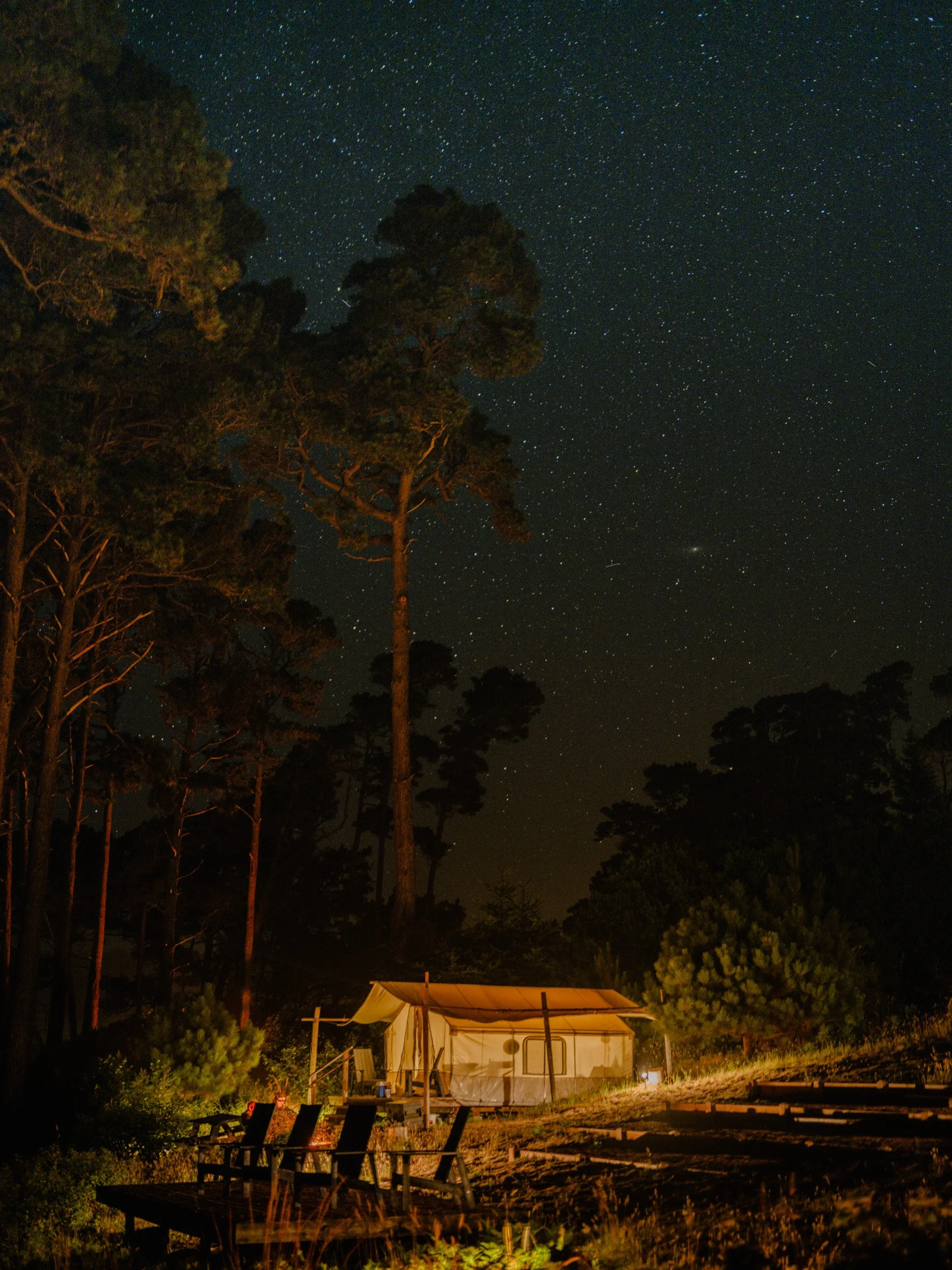 DSCF8356.jpg
