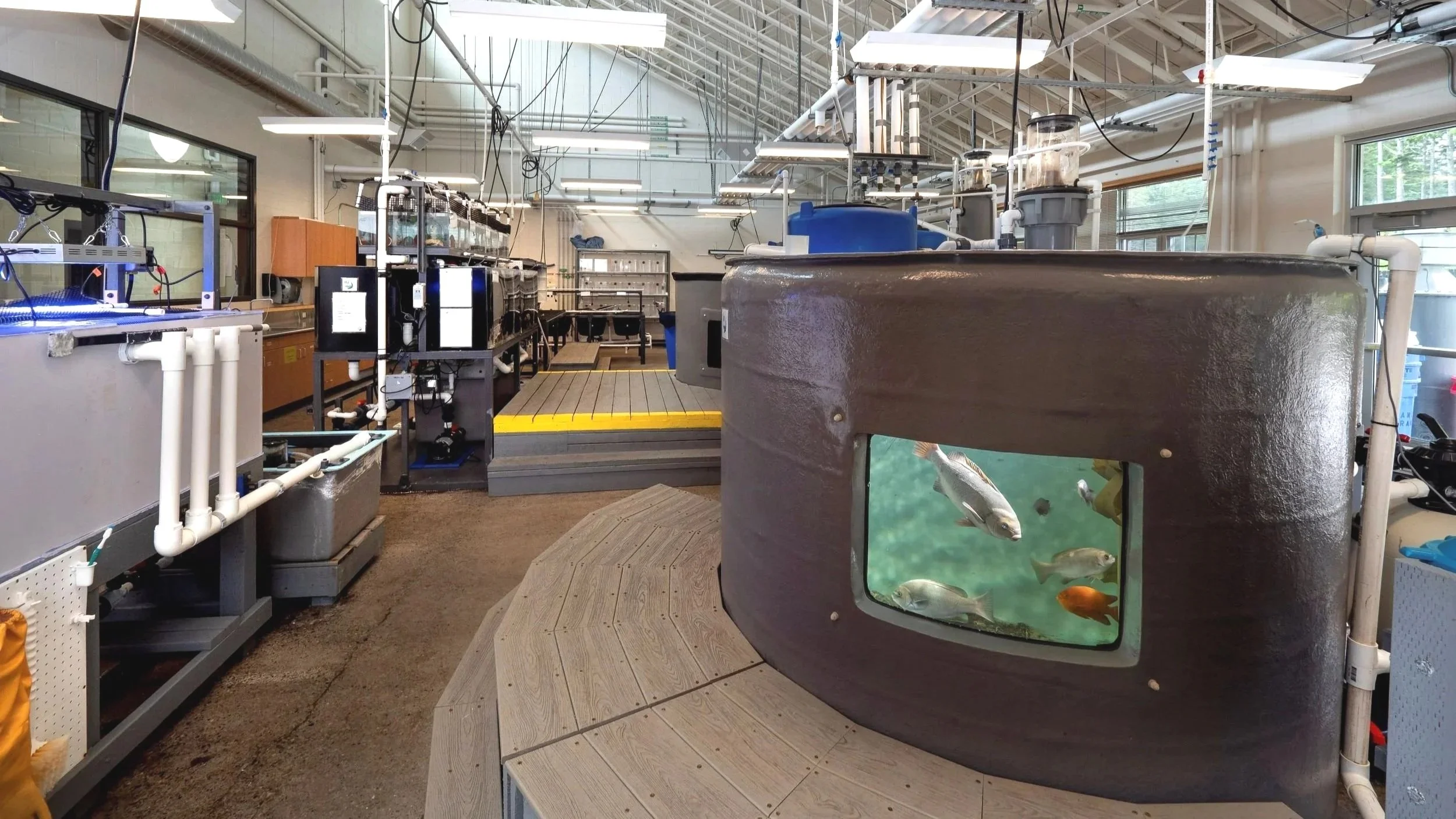 OCCC AQUARIUM SCIENCE