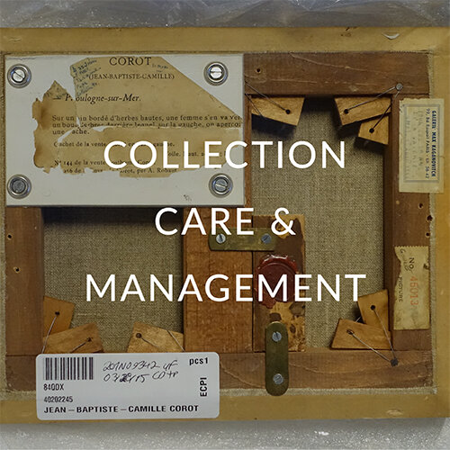collection-care-and-management-services-jpfa.jpg