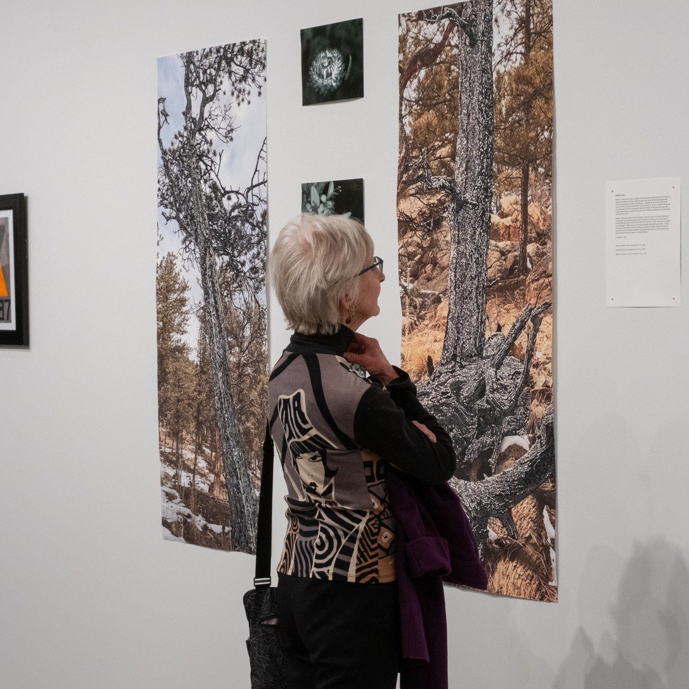 This is your last week to stop by the Galleries and see the VA Senior Art Show: Sonder and the 2024 VAPA Festival Show: Dreadful Lucidity. 
Both shows will be closing on May 11th, so come visit the Ent Center for the Arts before they are gone!
Sonder