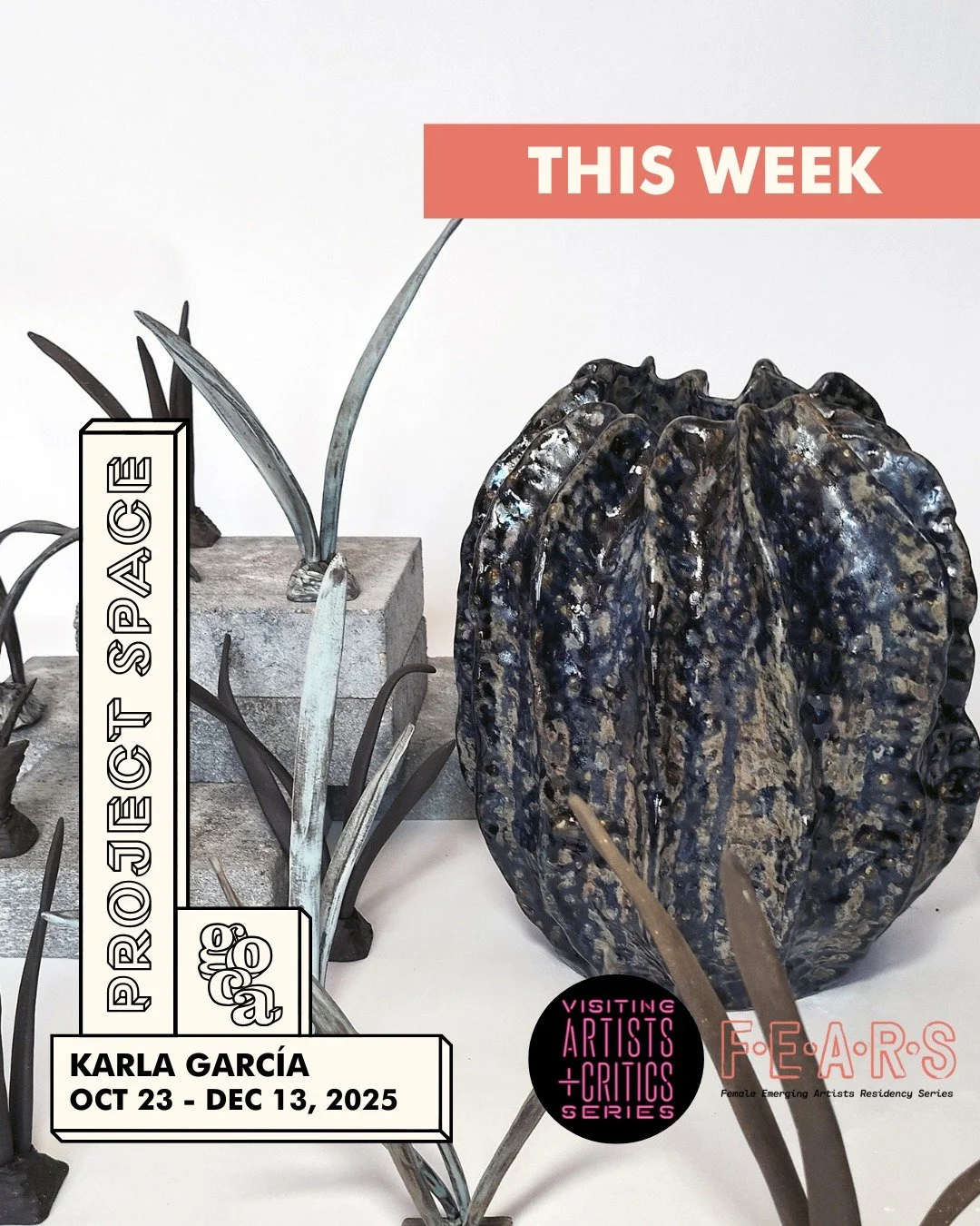 This week Karla Garc&iacute;a brings &quot;between Land and Sky&quot; to the GOCA Project Space. 
The opening reception is this Thursday starting at 5 pm and the VACS lecture will begin at 6 pm.
We are so excited for the GOCA audience to see the work