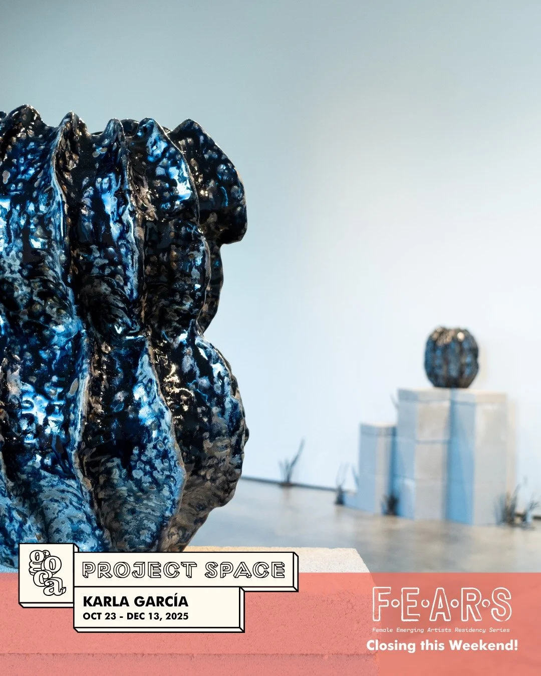 The F.E.A.R.S exhibition by Karla Garc&iacute;a "Between the Land and Sky" is closing this weekend. We can all look back fondly on this beautiful exhibit but remember that you still have time to visit before it's gone. 
Swing by the Ent Cen