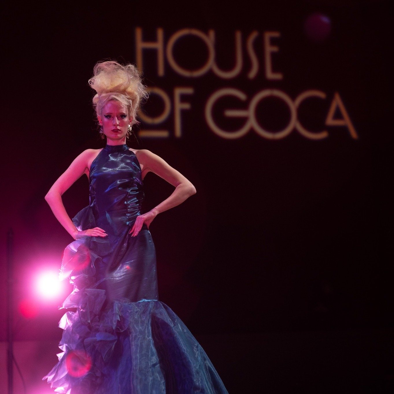 Thank you so much to everyone who came out for the second annual House of GOCA Fashion Show!!
We were thrilled to have such an amazing turn out, a completely sold out show!
This years show, STARDUST inspired by Nina Elder invited designers, and audie