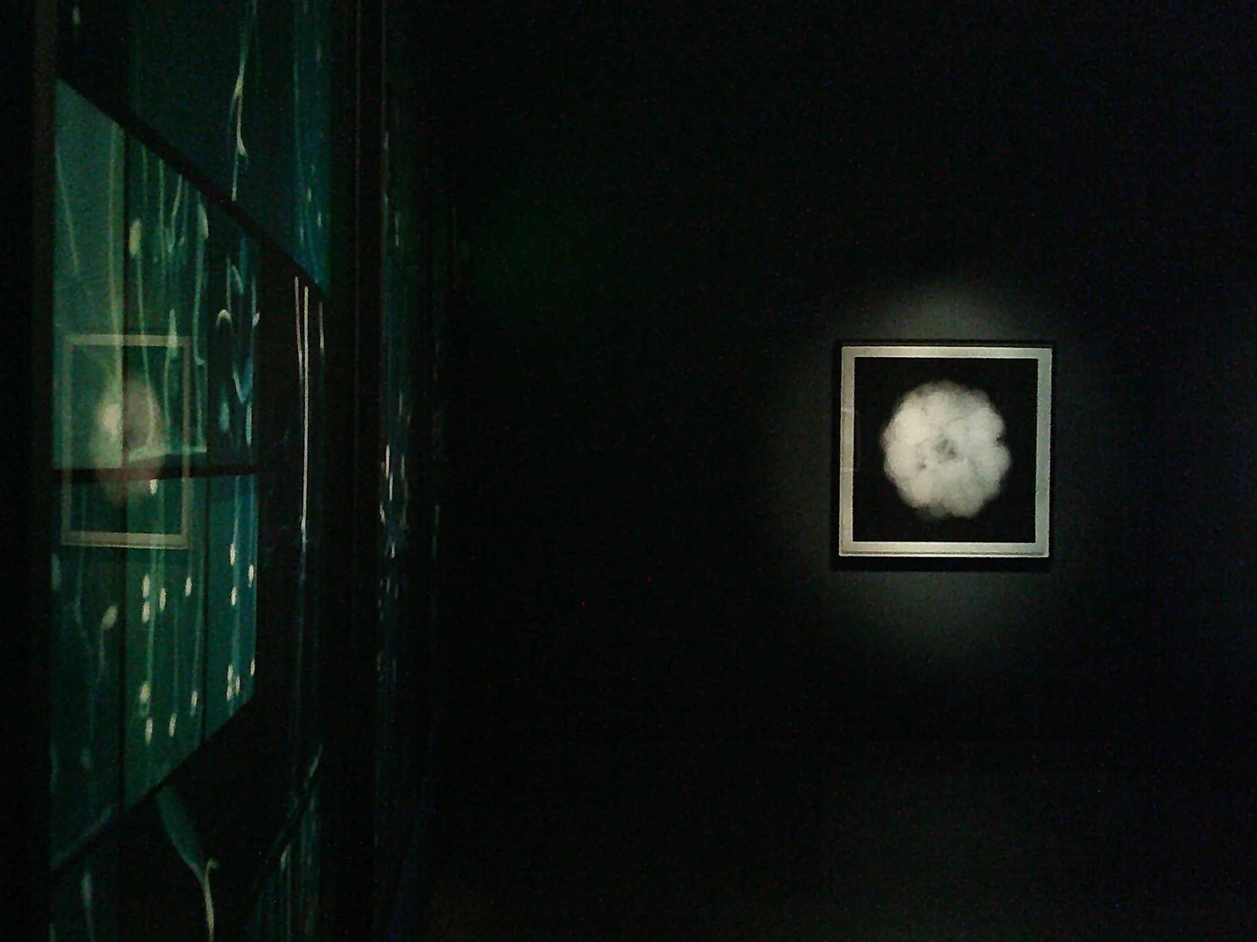 Reflections.

&ldquo;Simulacra&rdquo; and &ldquo;Moon Window&rdquo; are in show June 26-October 10, 2026

#UCCS #GOCA #simulacra #supportartists #contemporaryart @gogacolosrngs @entcenterarts @etsuko.echo.ichikawa @dornithdoherty
