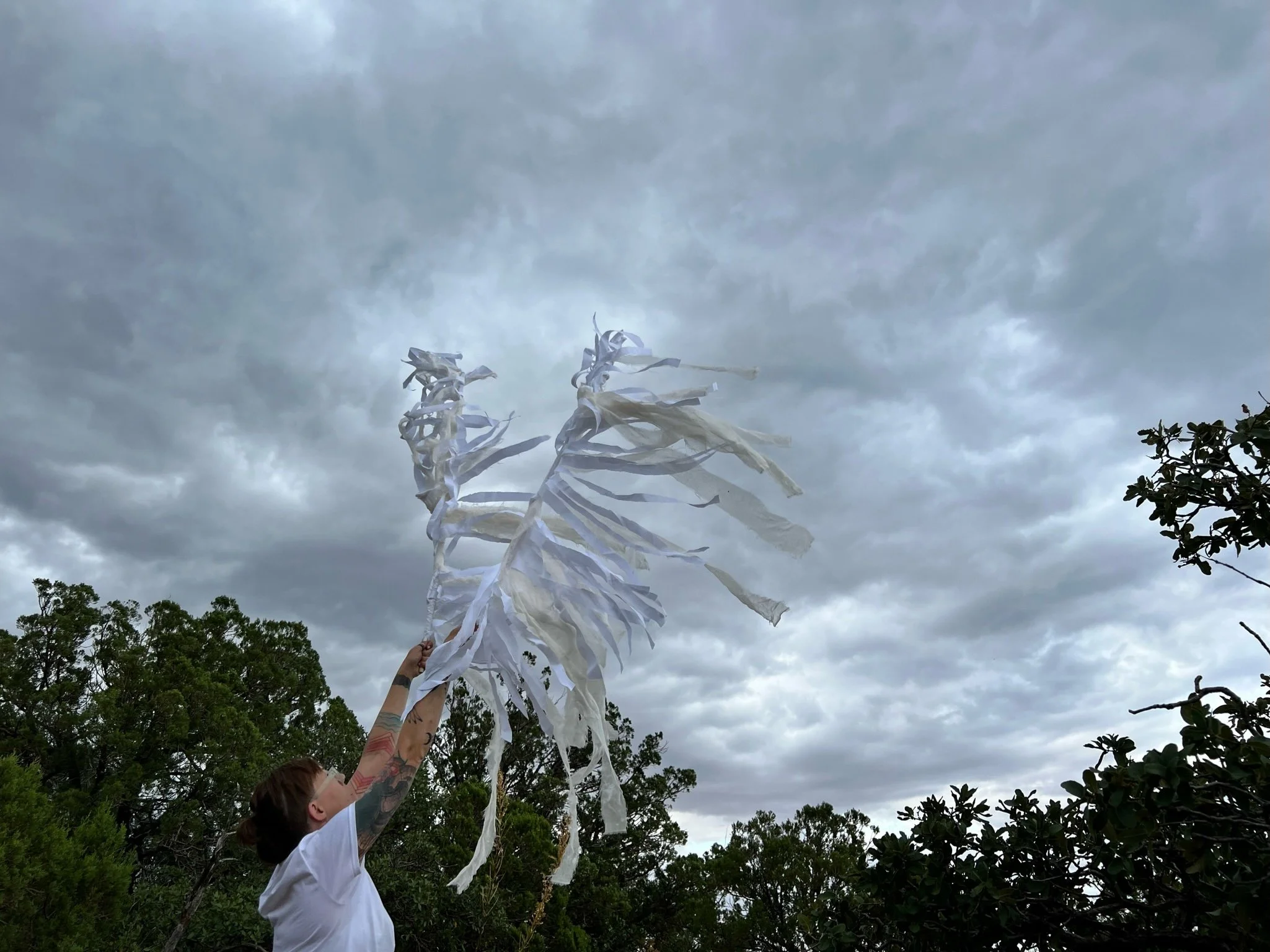 Nina.wind.arms.AZ.jpeg