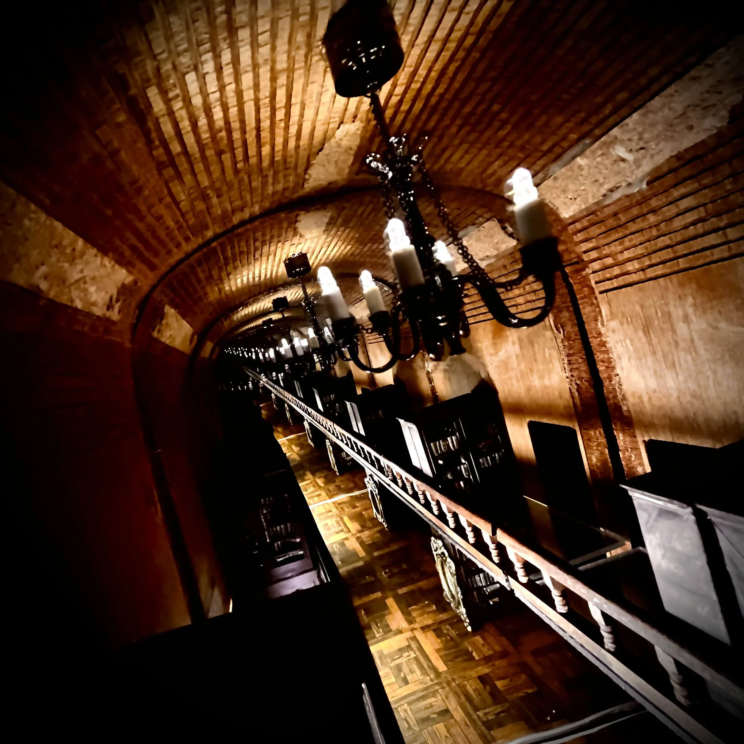 IzaacLeechPRimage2- ForGoca.jpg