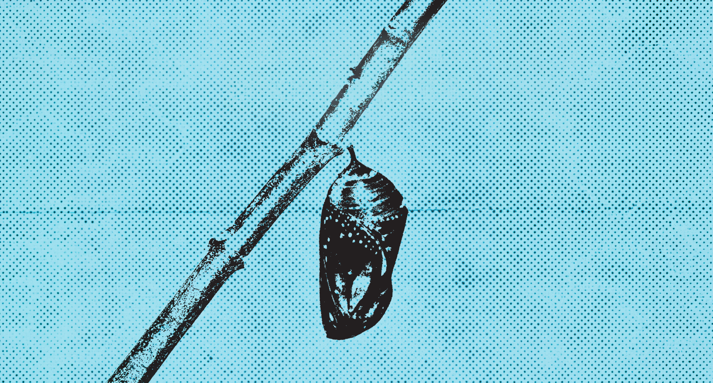 Chrysalis<br/>2026 VA Senior Exhibition<p class="showdate">April 10 - May 16, 2026