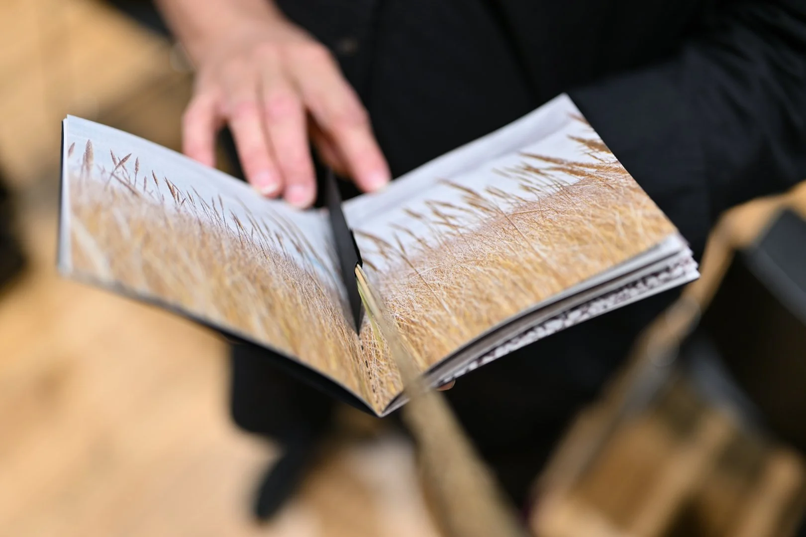 Solastalgic Archive<br/>Nina Elder<p class="showdate">January 15 - March 8, 2026