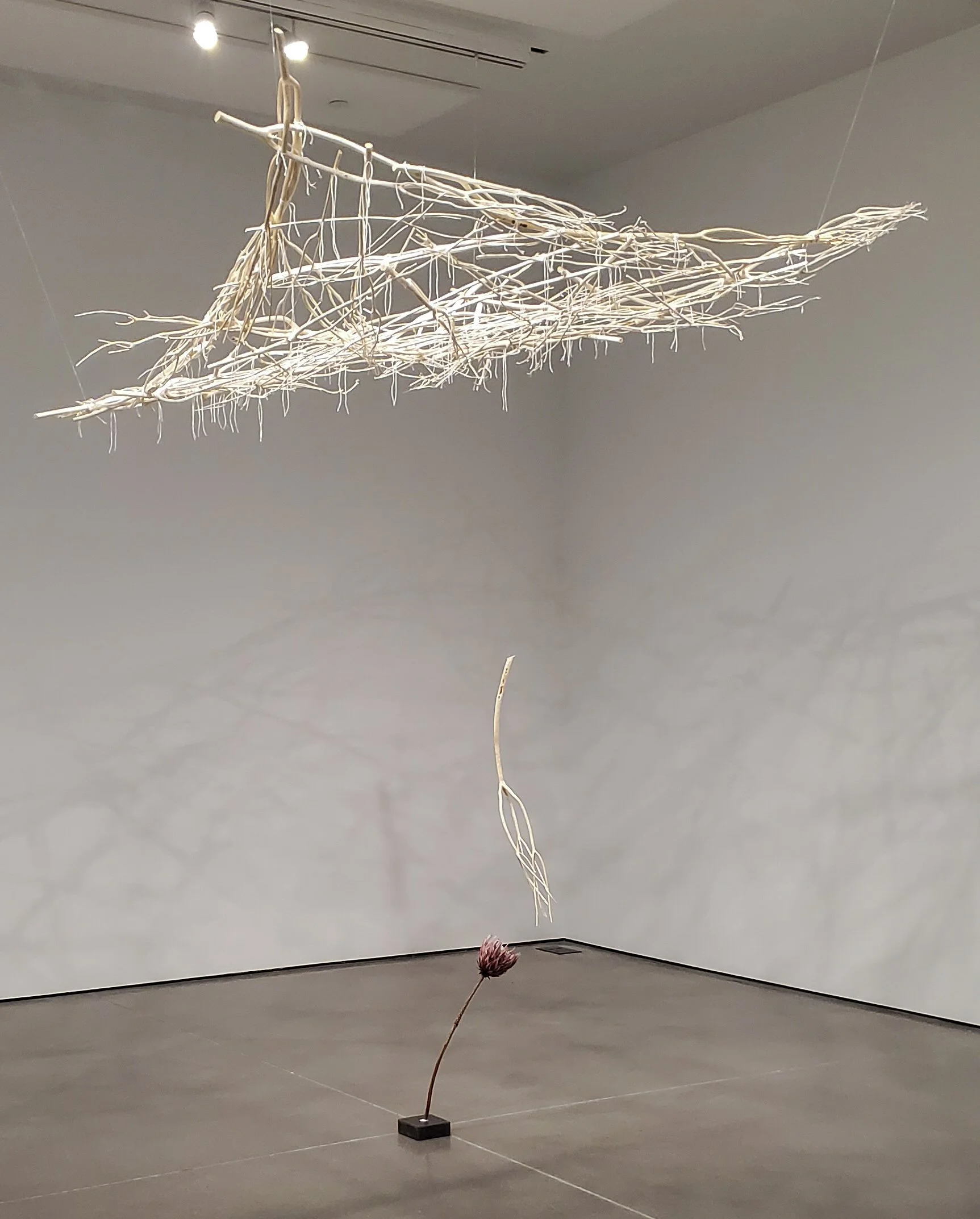 GOCA_We Are the Sky-12.jpg