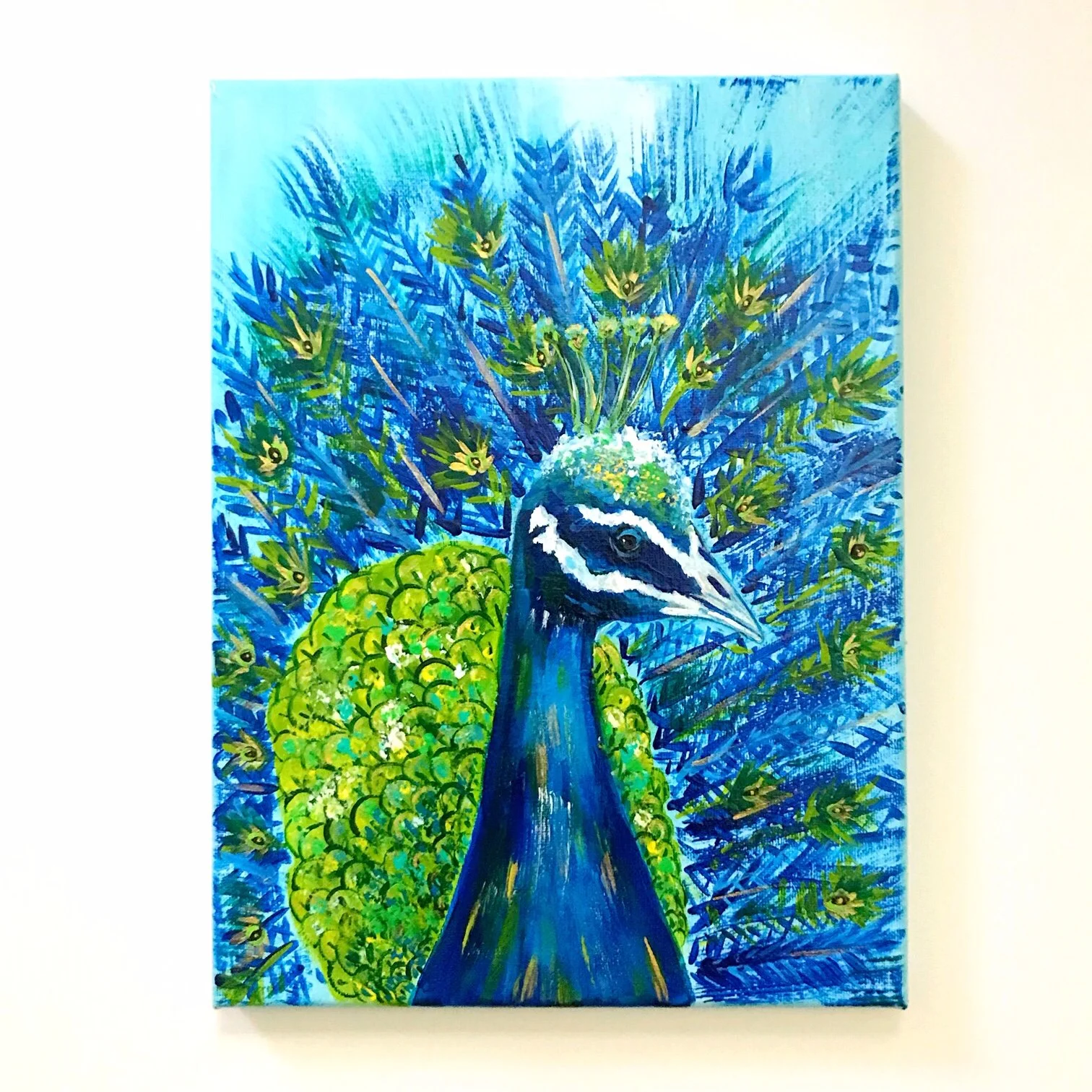 Pretty Peacock 3.JPG