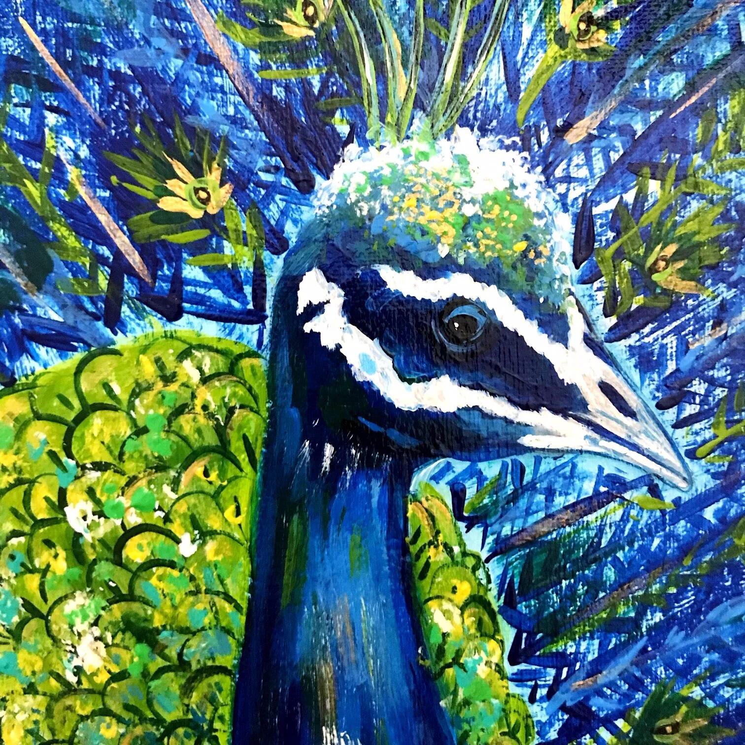 Pretty Peacock 2.JPG