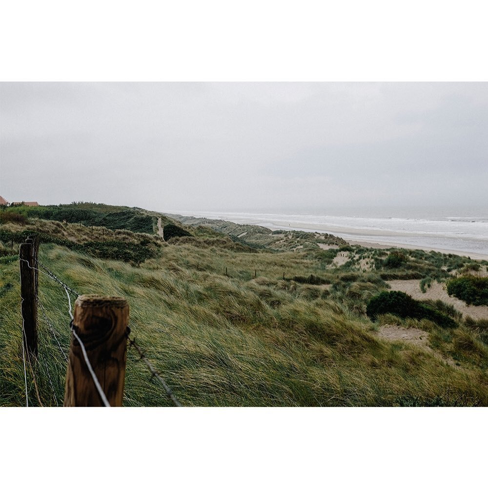 🌿 x 🌊

Souvenir de la plage du Coq au mois de mai et ses d&eacute;clinaisons de vert &agrave; l&rsquo;infini.
_
Memory of De Haan&rsquo;s beach in May and its infinite variations of green.

#dehaan #lecoq #belgique #belgium #freshairclub #lesothers