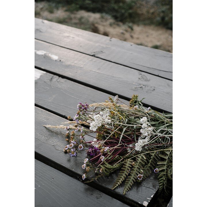 Bouquet de fleurs sauvages laiss&eacute; sur le bord de la route.⠀⠀⠀⠀⠀⠀⠀⠀⠀
⠀⠀⠀⠀⠀⠀⠀⠀⠀
_⠀⠀⠀⠀⠀⠀⠀⠀⠀
⠀⠀⠀⠀⠀⠀⠀⠀⠀
Bunch of wildflowers left on the side of the road.