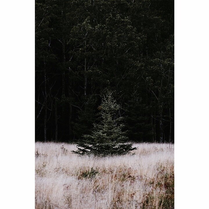 &Ecirc;tre en dehors des clous.⠀⠀⠀⠀⠀⠀⠀⠀⠀
⠀⠀⠀⠀⠀⠀⠀⠀⠀
🌲🌲🌲 &mdash; 🌾🌲🌾⠀⠀⠀⠀⠀⠀⠀⠀⠀
⠀⠀⠀⠀⠀⠀⠀⠀⠀
Being outside the box.⠀⠀⠀⠀⠀⠀⠀⠀⠀
⠀⠀⠀⠀⠀⠀⠀⠀⠀
_⠀⠀⠀⠀⠀⠀⠀⠀⠀
⠀⠀⠀⠀⠀⠀⠀⠀⠀
#gominimalmag #satellitetales #solarcollective #ifyouleave #myfeatureshoot #imaginarymagnitude 