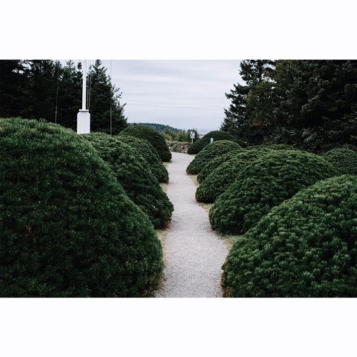 🌳 x ☁️⠀⠀⠀⠀⠀⠀⠀⠀⠀
⠀⠀⠀⠀⠀⠀⠀⠀⠀
L&rsquo;all&eacute;e aux arbustes cotonneux.⠀⠀⠀⠀⠀⠀⠀⠀⠀
⠀⠀⠀⠀⠀⠀⠀⠀⠀
_⠀⠀⠀⠀⠀⠀⠀⠀⠀
⠀⠀⠀⠀⠀⠀⠀⠀⠀
The fluffy shrubs&rsquo; alley.⠀⠀⠀⠀⠀⠀⠀⠀⠀
⠀⠀⠀⠀⠀⠀⠀⠀⠀
_⠀⠀⠀⠀⠀⠀⠀⠀⠀
⠀⠀⠀⠀⠀⠀⠀⠀⠀
#homemagazine #mintmagazine #nature #toctoctocmagazine #ifyouleave