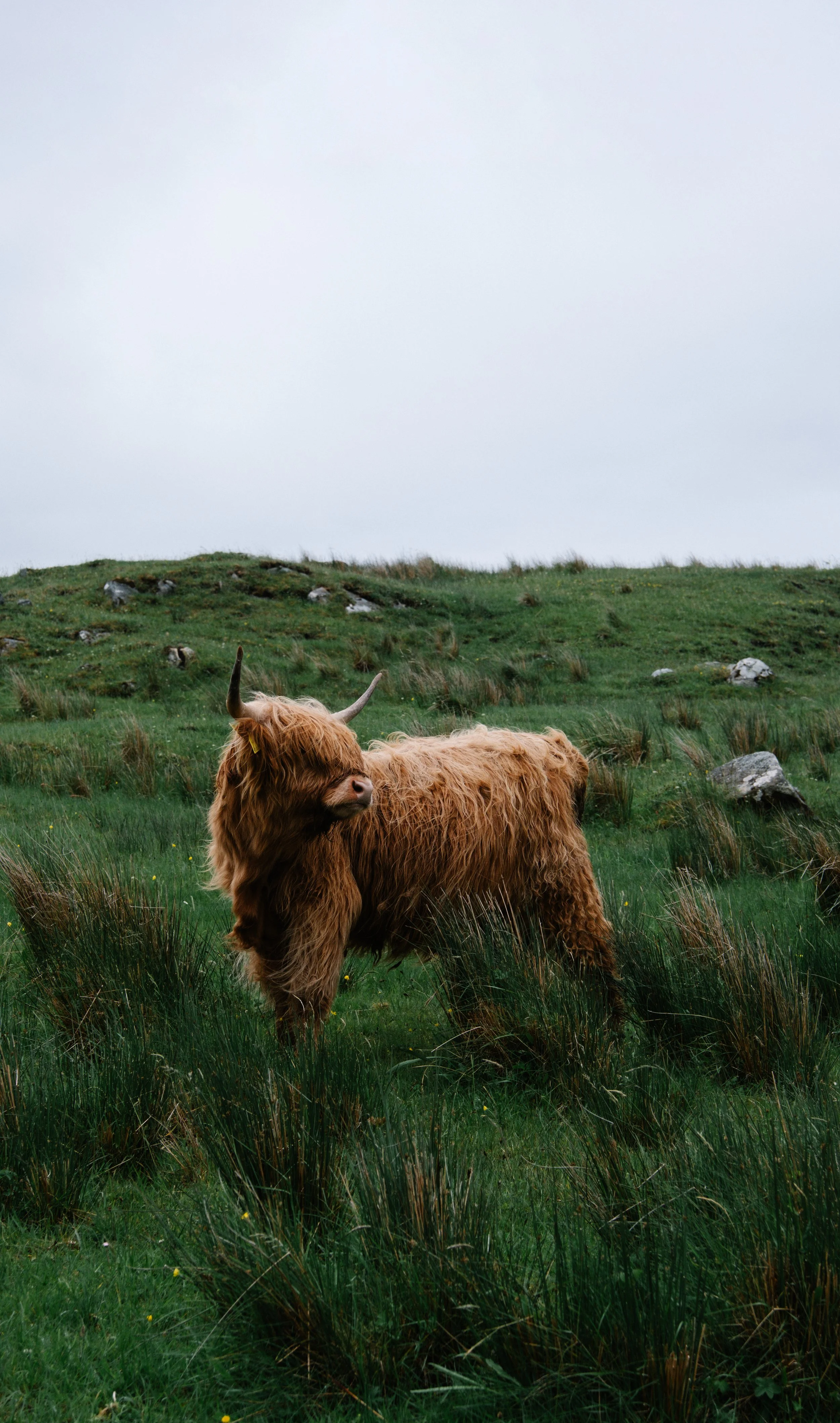 ©MAUDSIMON_2024_ECOSSE_©MAUDSIMON_ECOSSE_DSCF6373.JPG