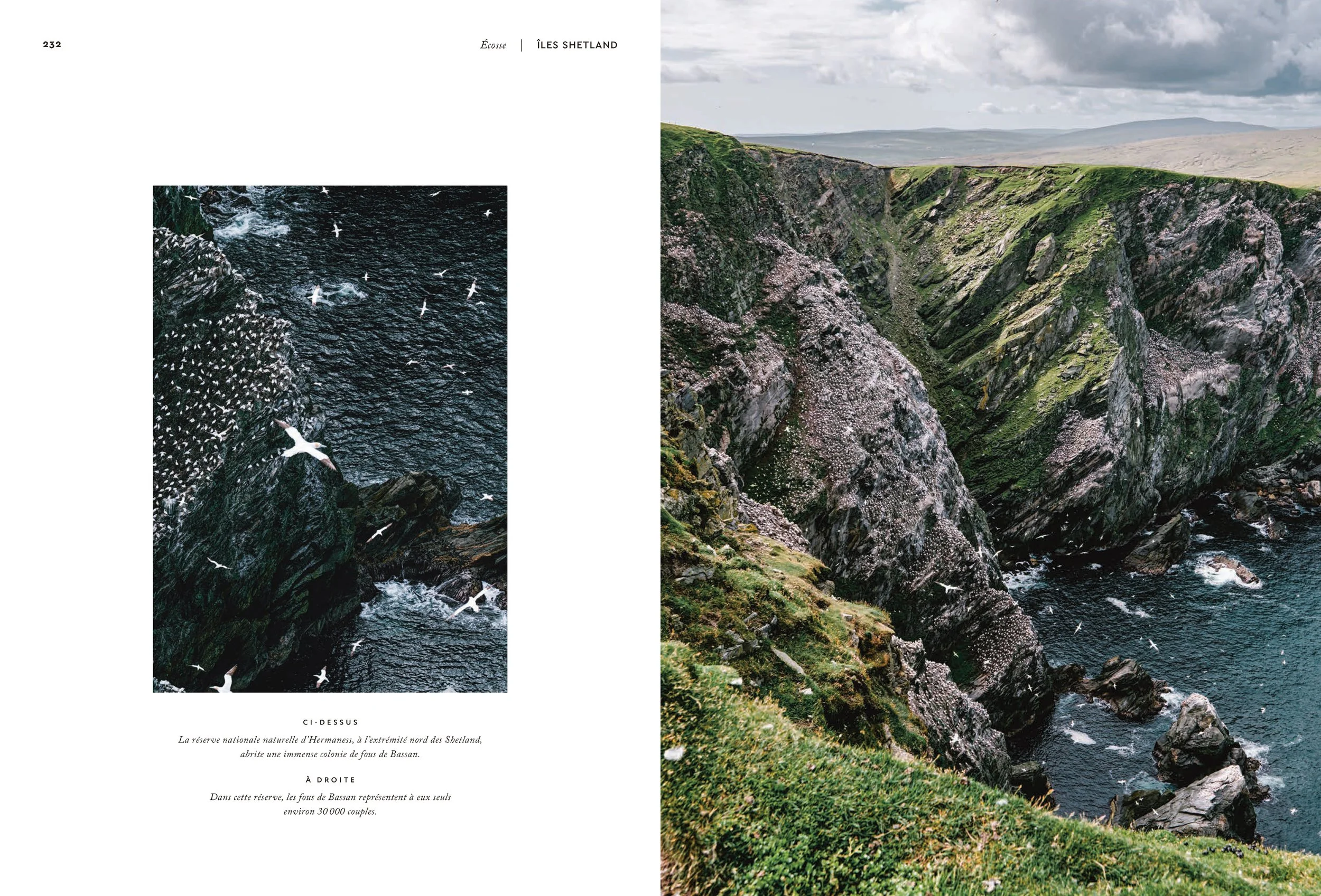 ECOSSE(MERGED)—09012026_LOWRES 117.JPG