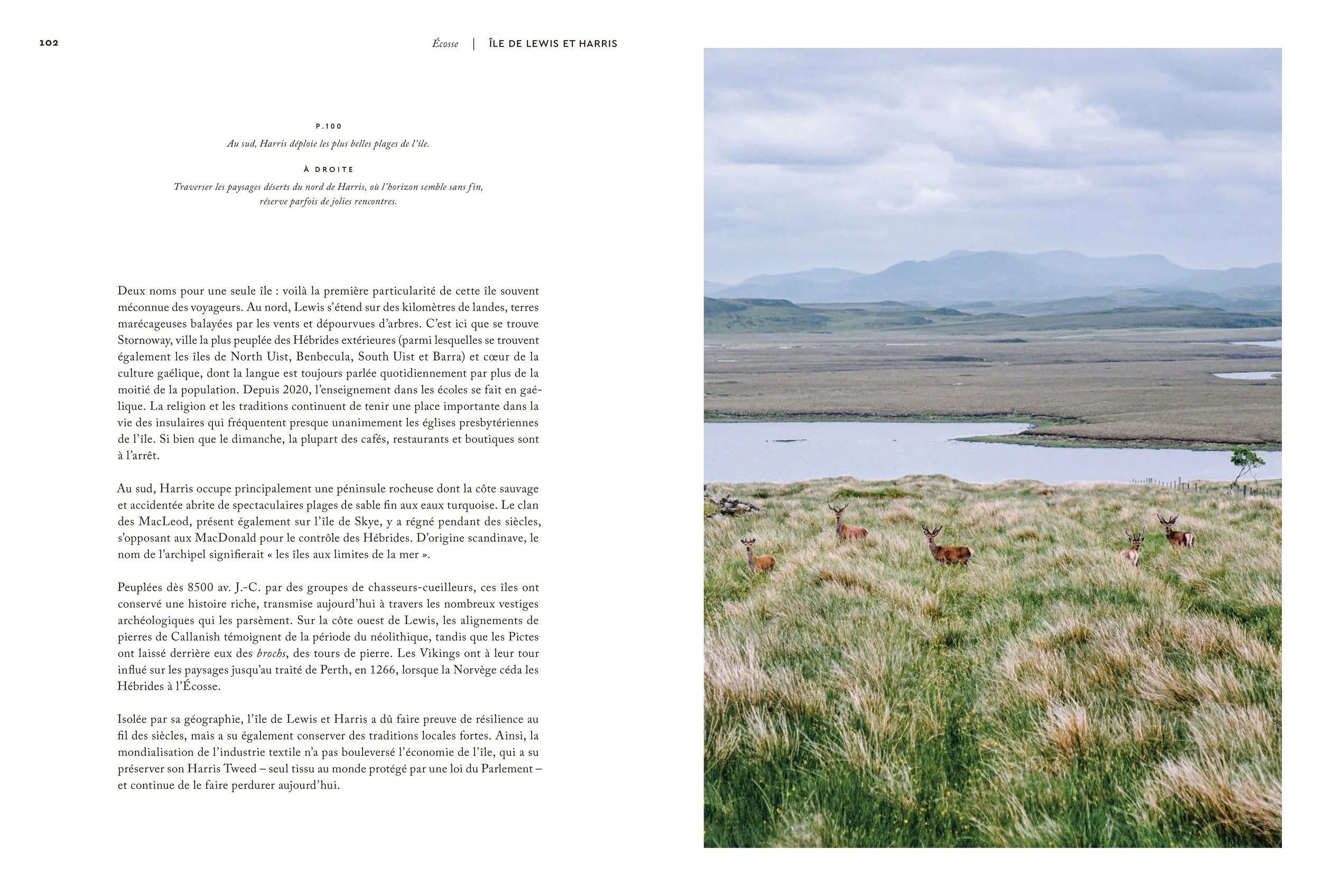 ECOSSE(MERGED)—09012026_LOWRES 52.JPG