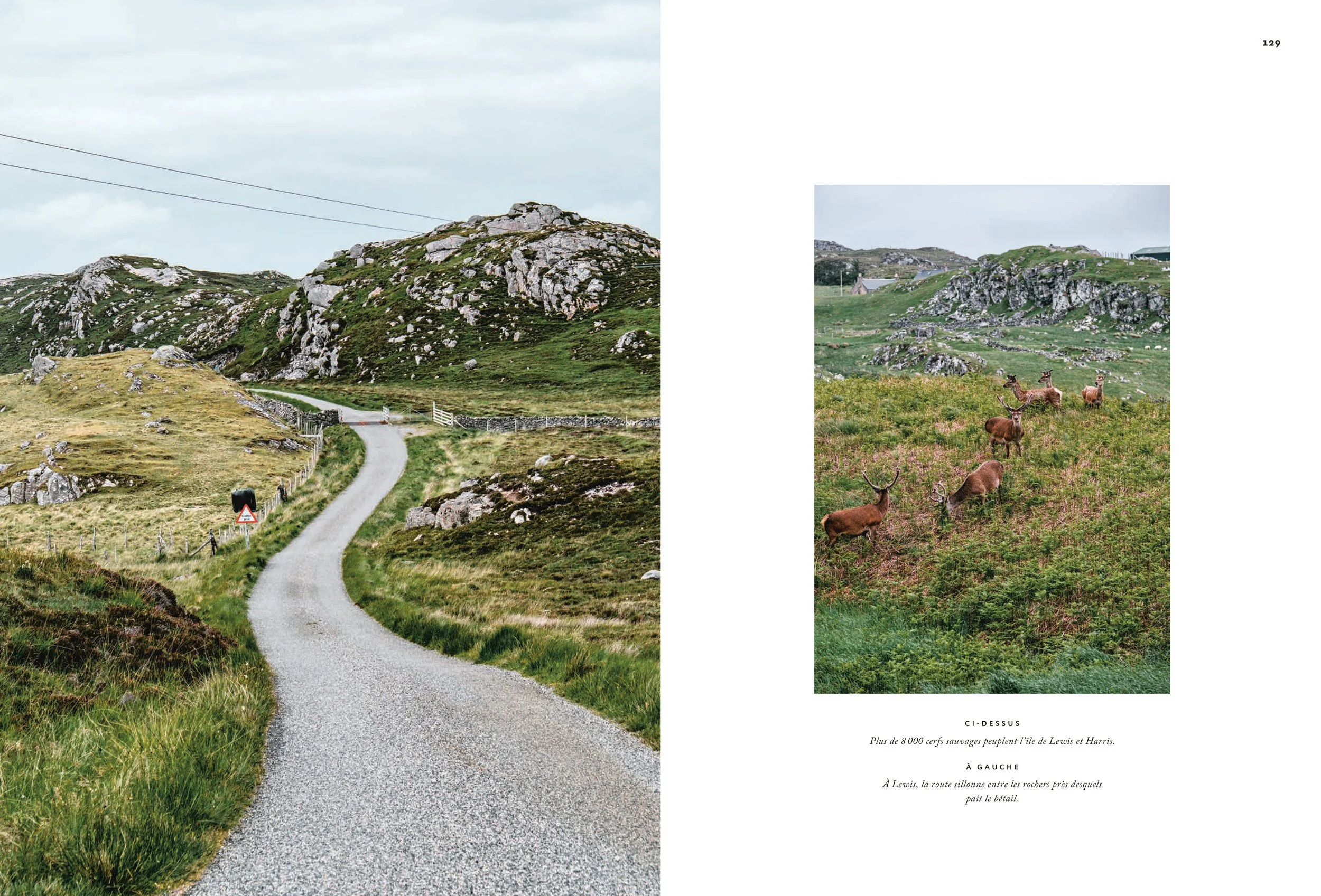 ECOSSE(MERGED)—09012026_LOWRES 65.JPG