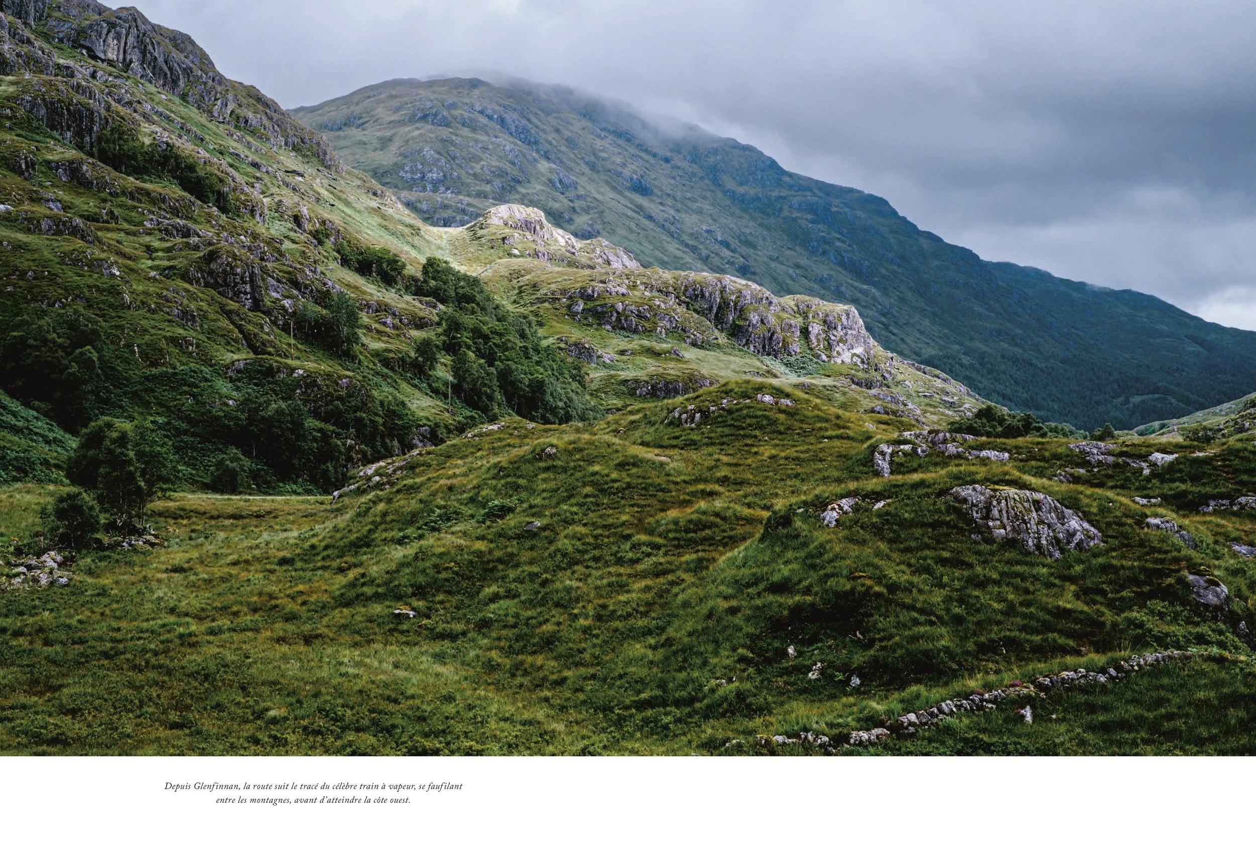ECOSSE(MERGED)—09012026_LOWRES 90.JPG