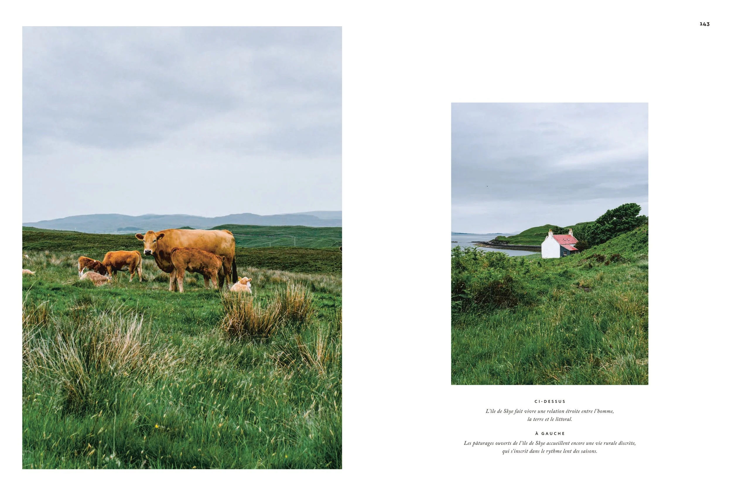 ECOSSE(MERGED)—09012026_LOWRES 72.JPG