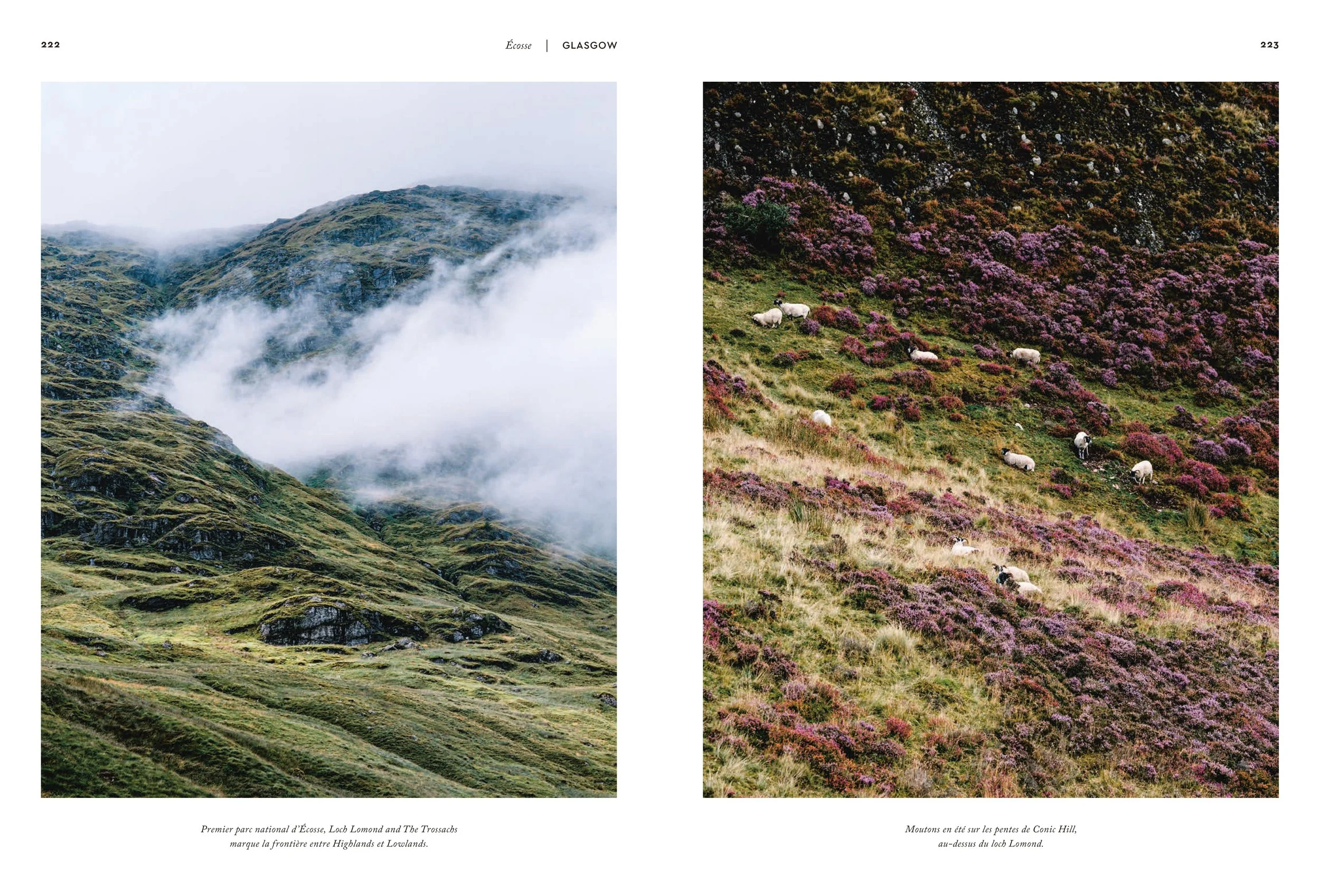 ECOSSE(MERGED)—09012026_LOWRES 112.JPG