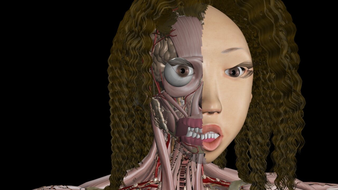medical.jpg