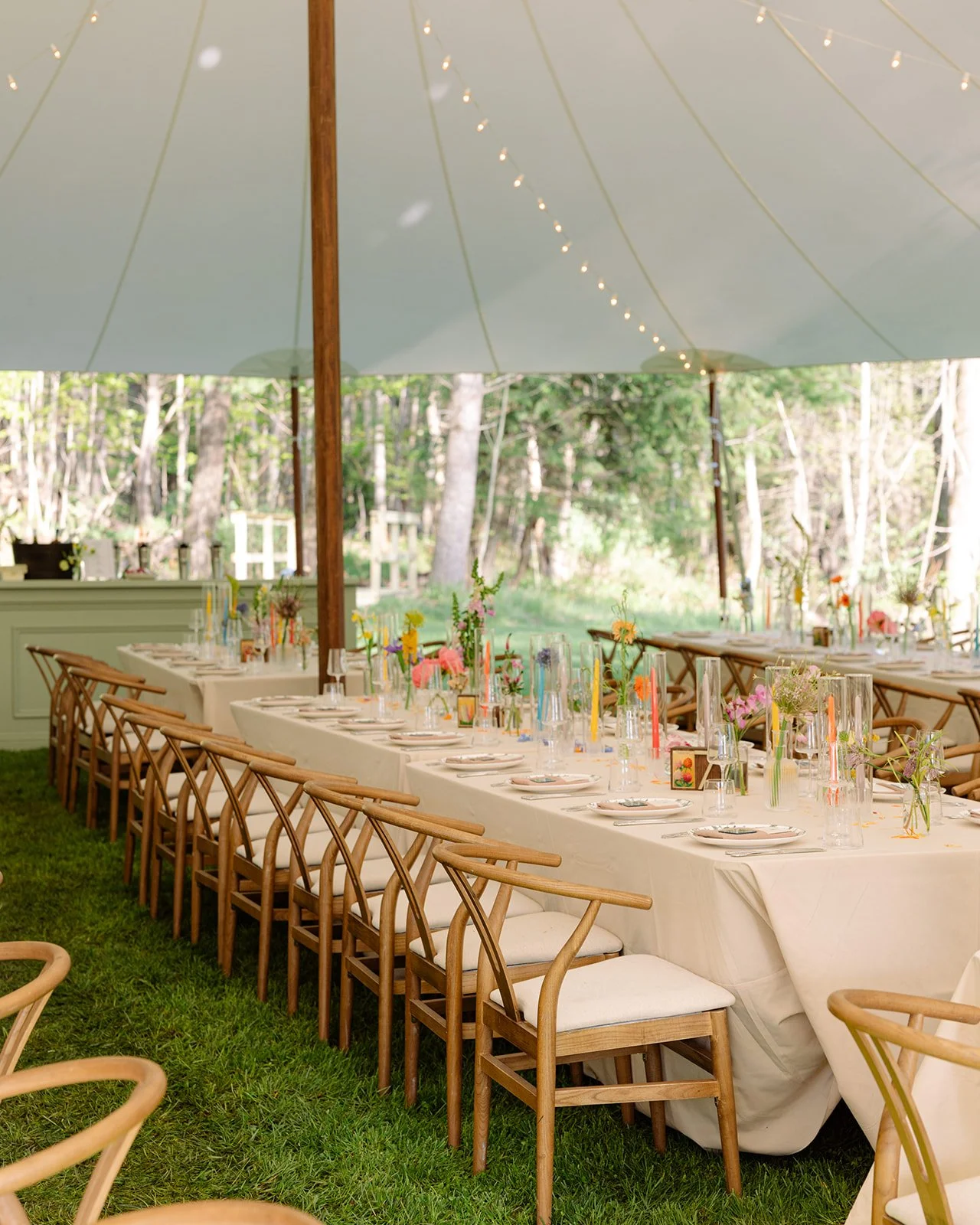 Outdoor wedding under a tent Marian Frances Events.jpg