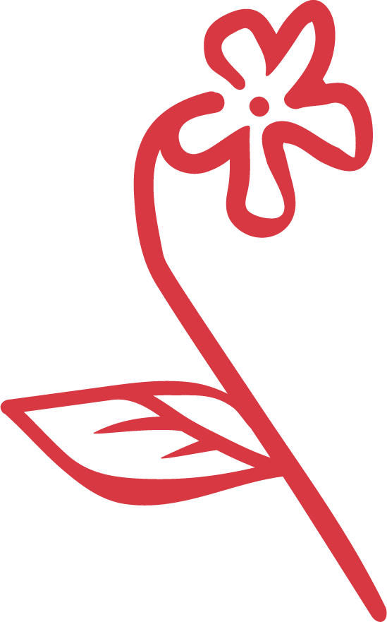 Simplified red line drawing of a flower with a single leaf on its stem.
