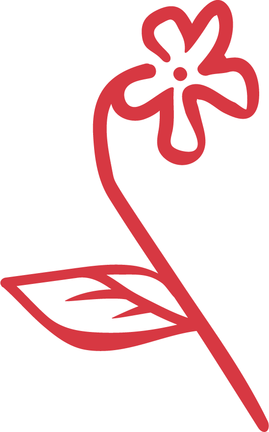 A simple red line drawing of a flower with a leaf.