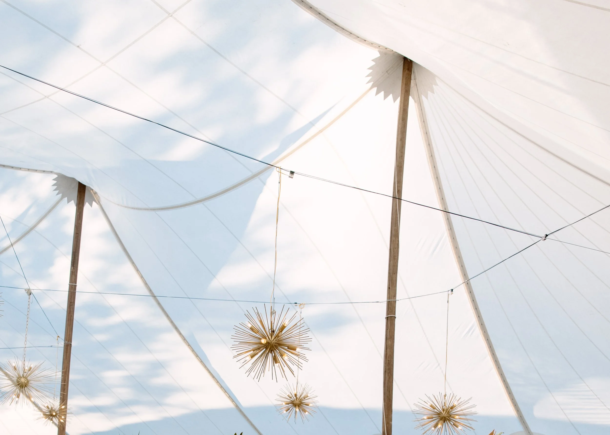 Annie + Geoff | Photographer: Janelle Putrich | Florals: Petal & Peach | Venue: The Gibbes Museum of Art 