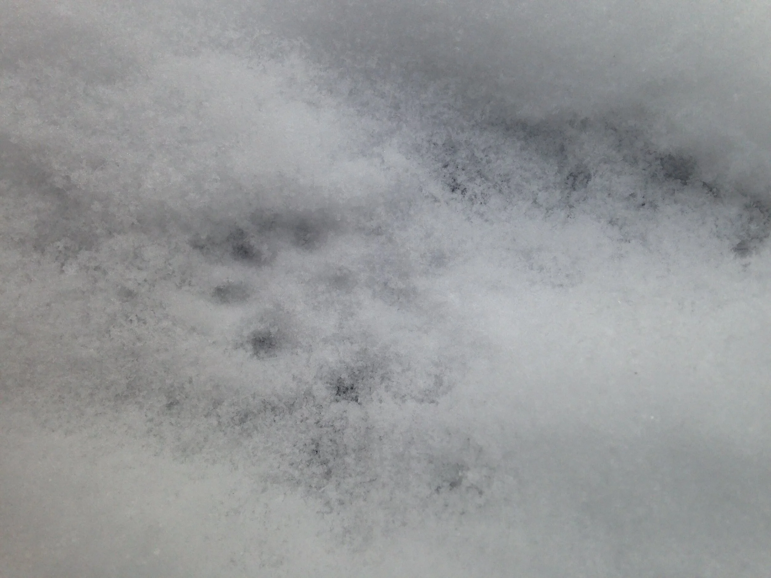 1. Can you count the toes?