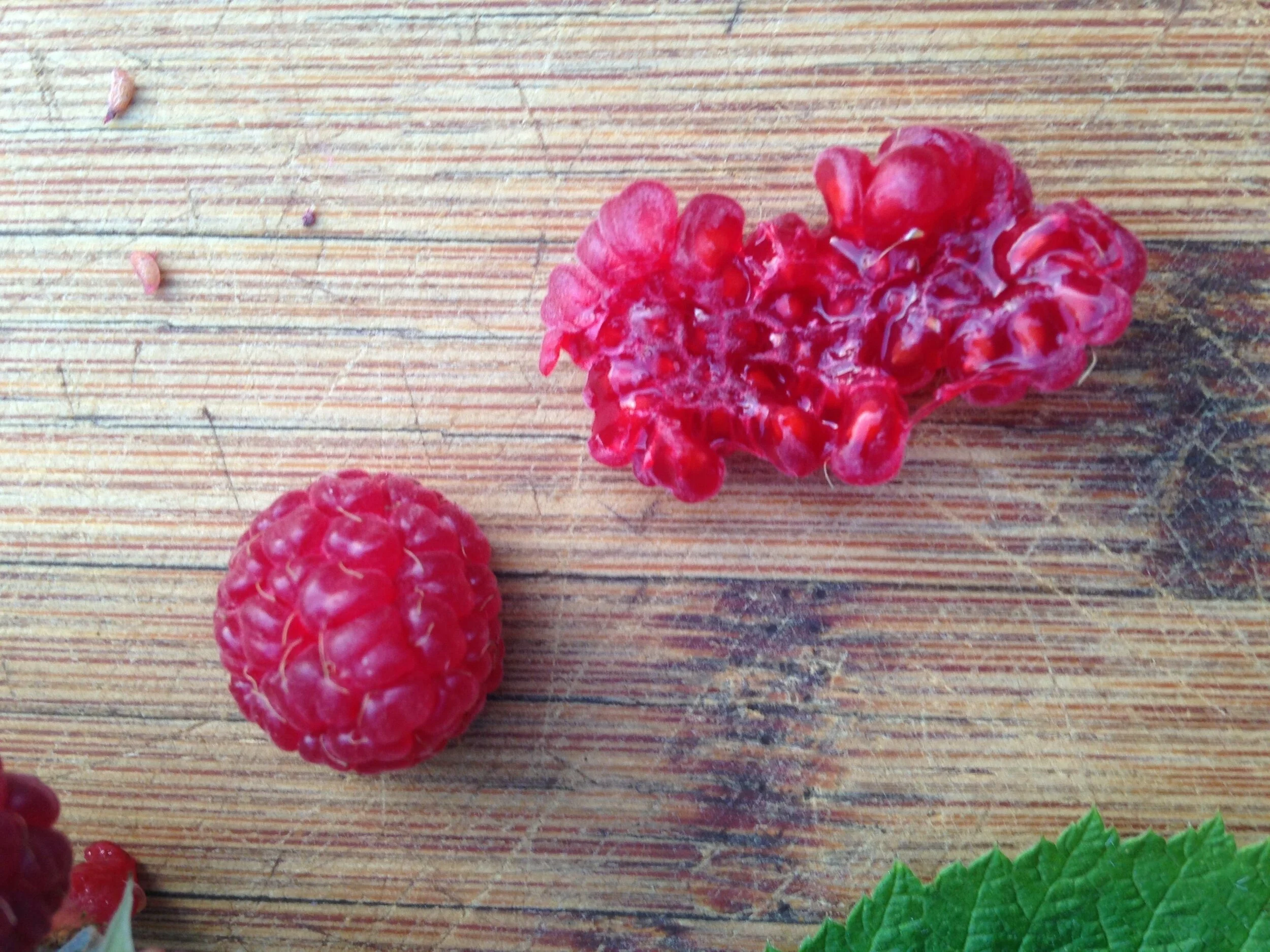 raspberry+leaf%2C+fruit+and+seed%2C+23.07.2021++%287%29.jpg