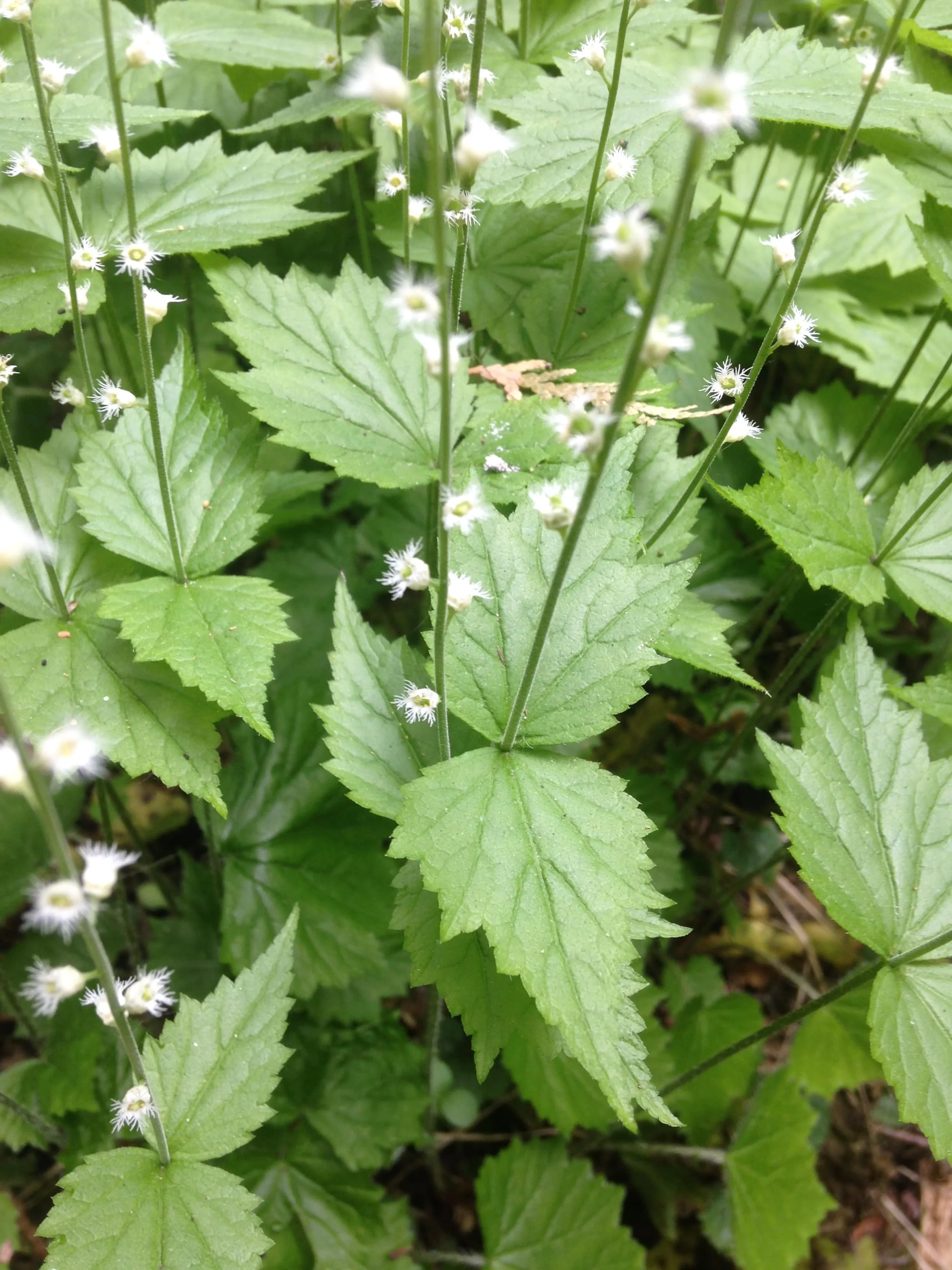 Too much to write about