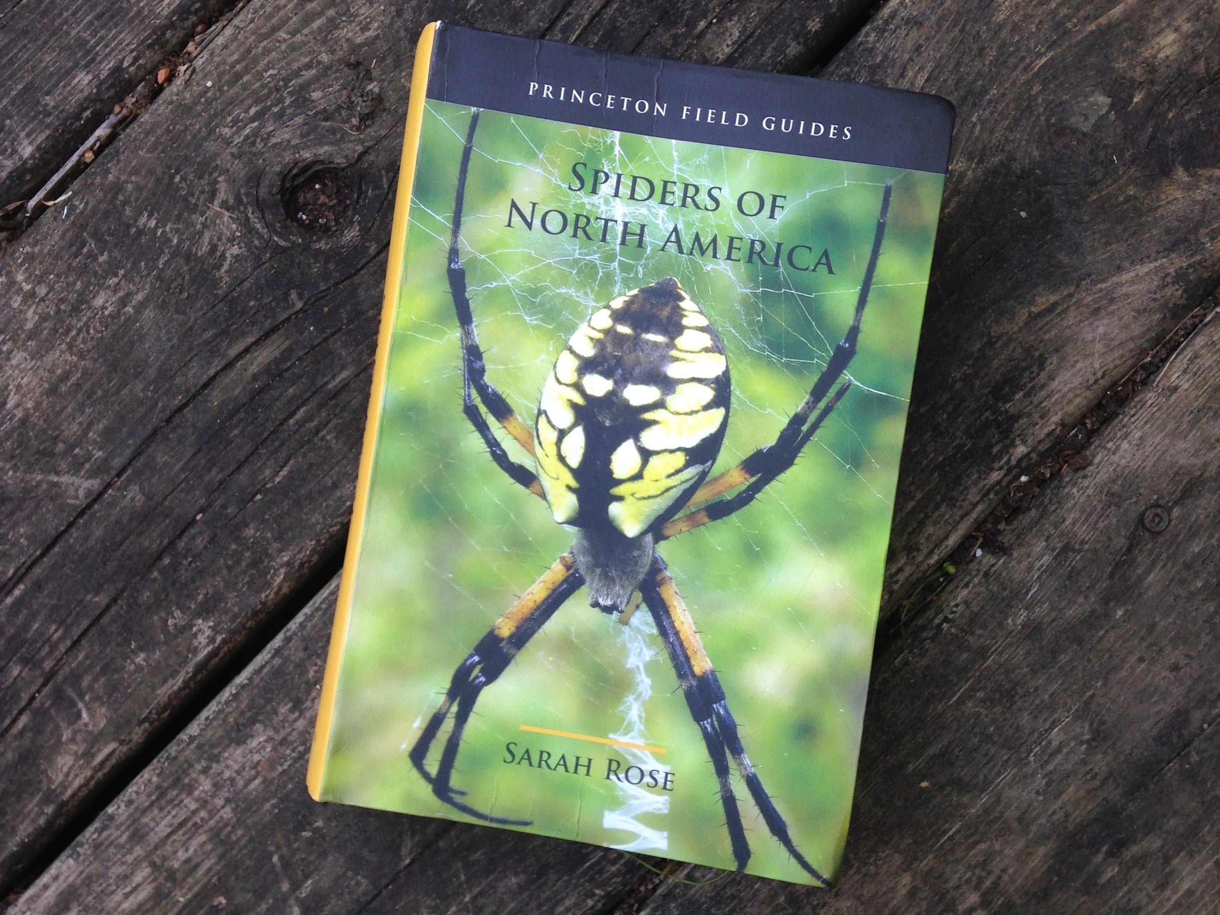 Spiders of North America