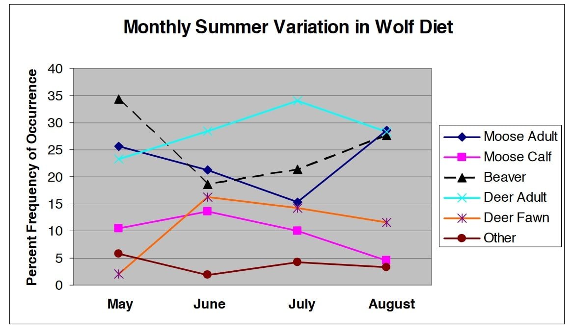 Summer diets of Eastern Wolves in Algonquin