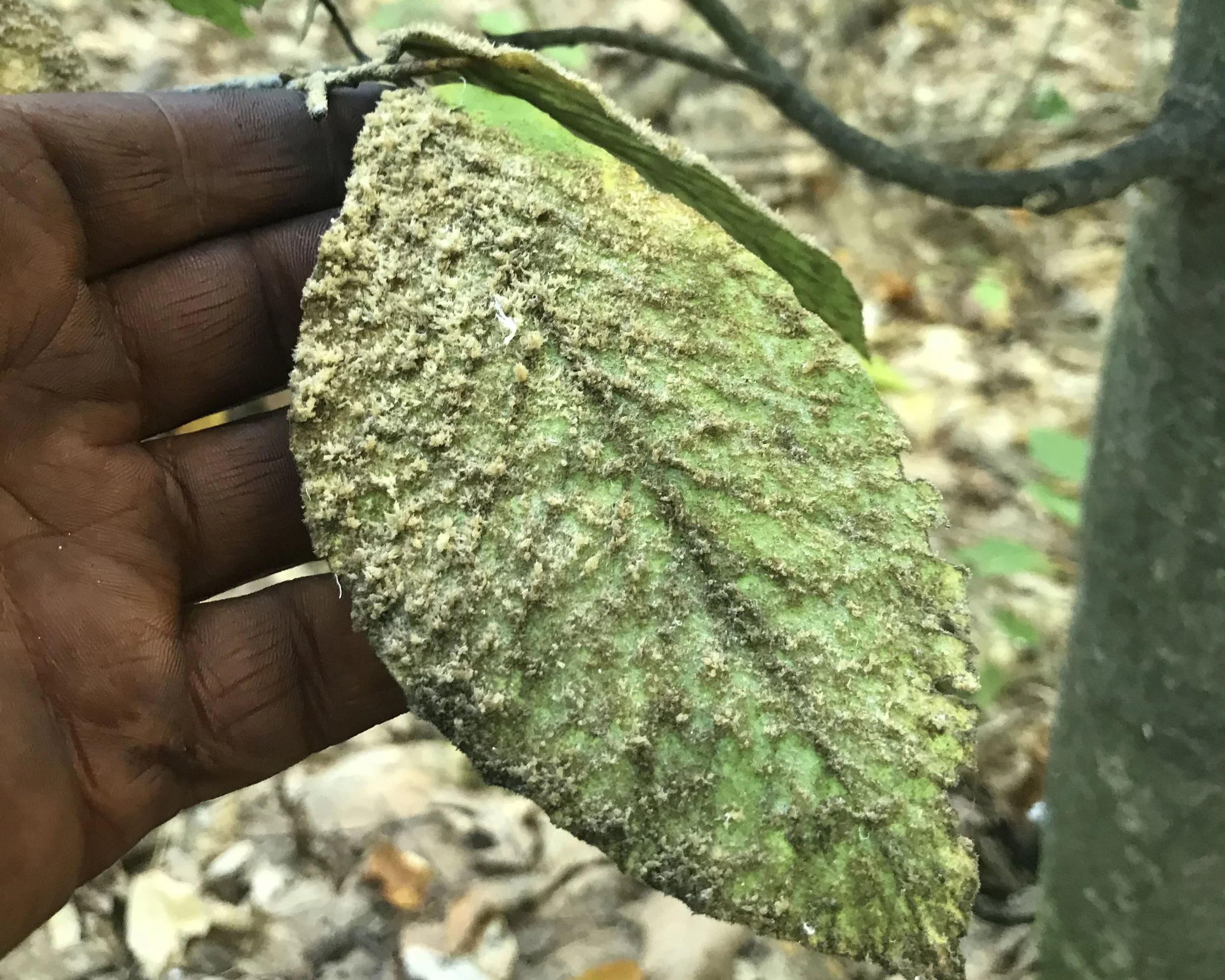 IMG_5865 edit-min.JPG