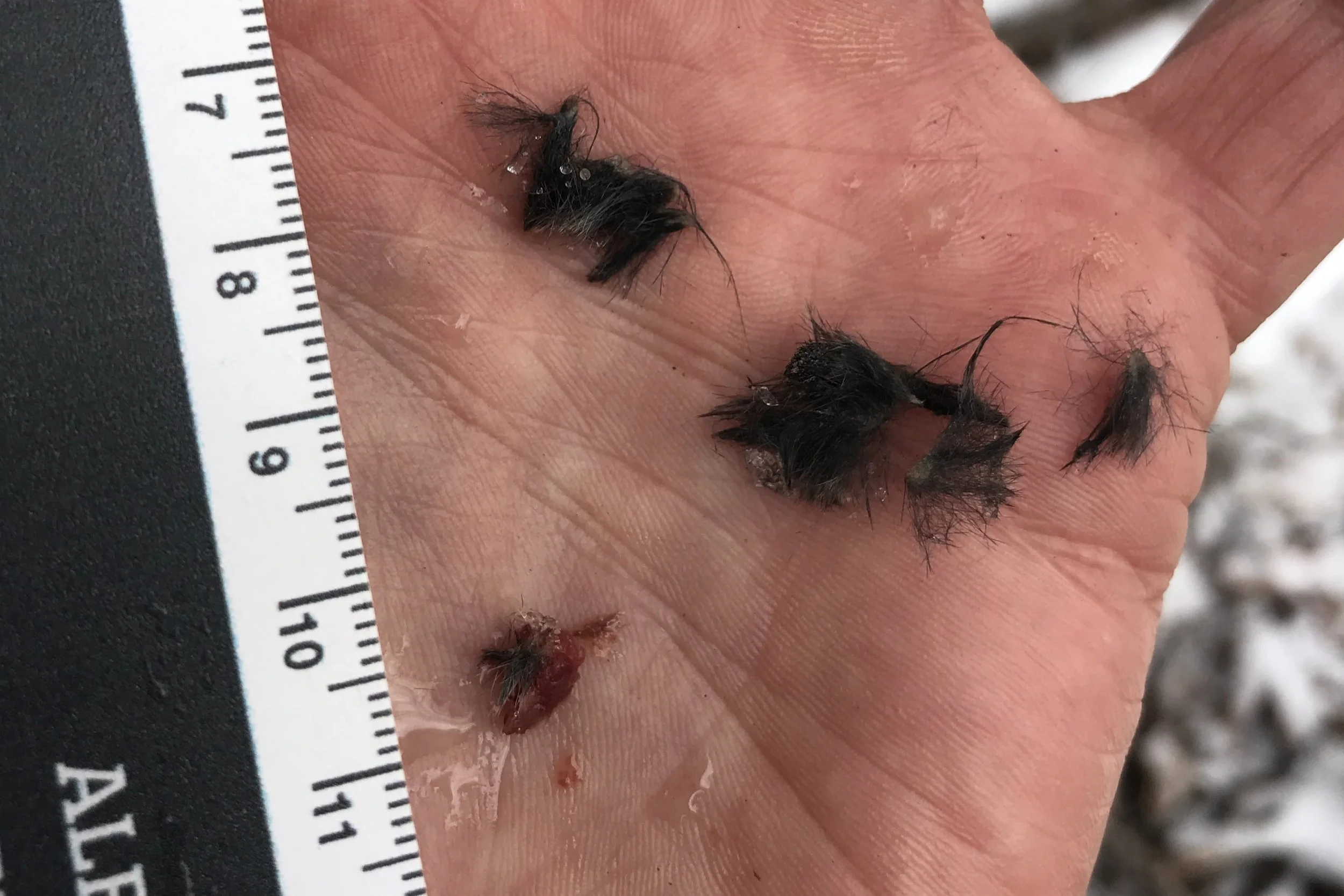 IMG_0824 edit-min.JPG