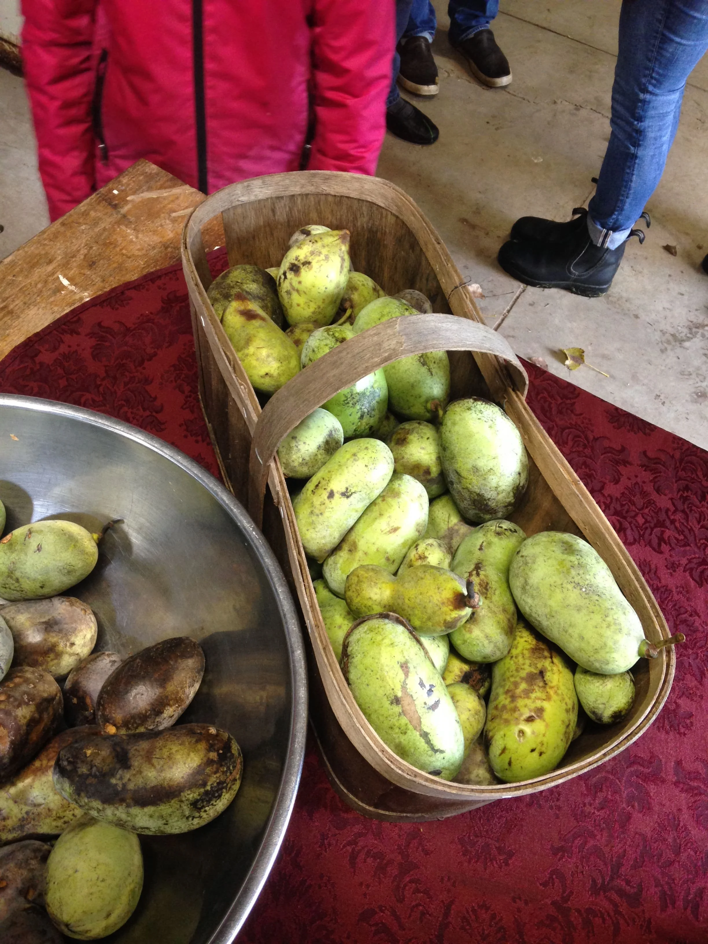 paw paw fest, simpler thyme, 16.10.2021  (16)-min.JPG