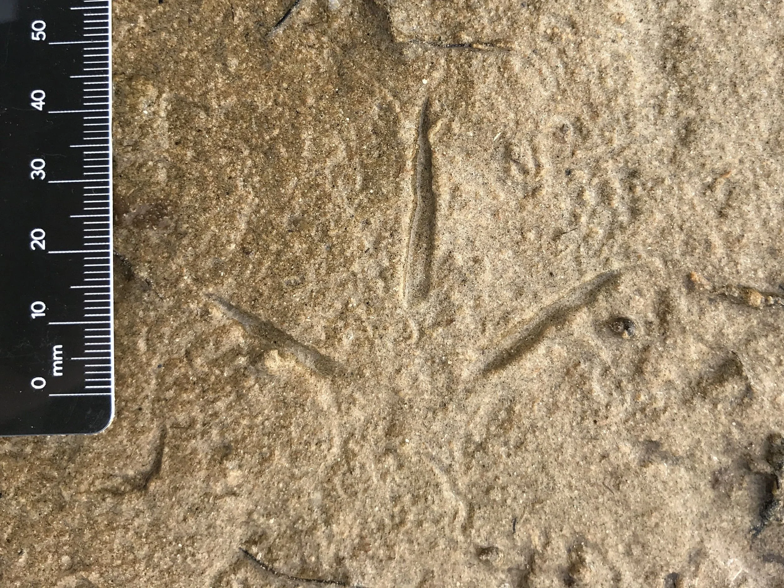 IMG_4355 edit-min.JPG