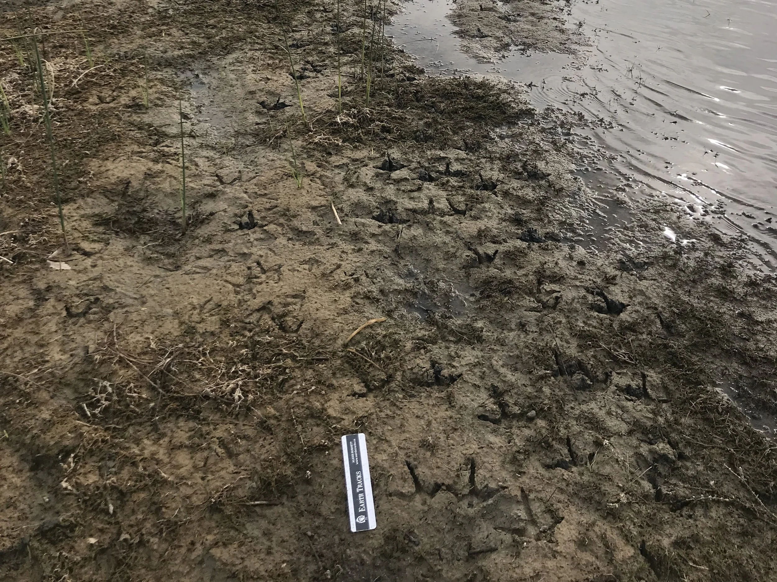 IMG_4297 edit-min.JPG