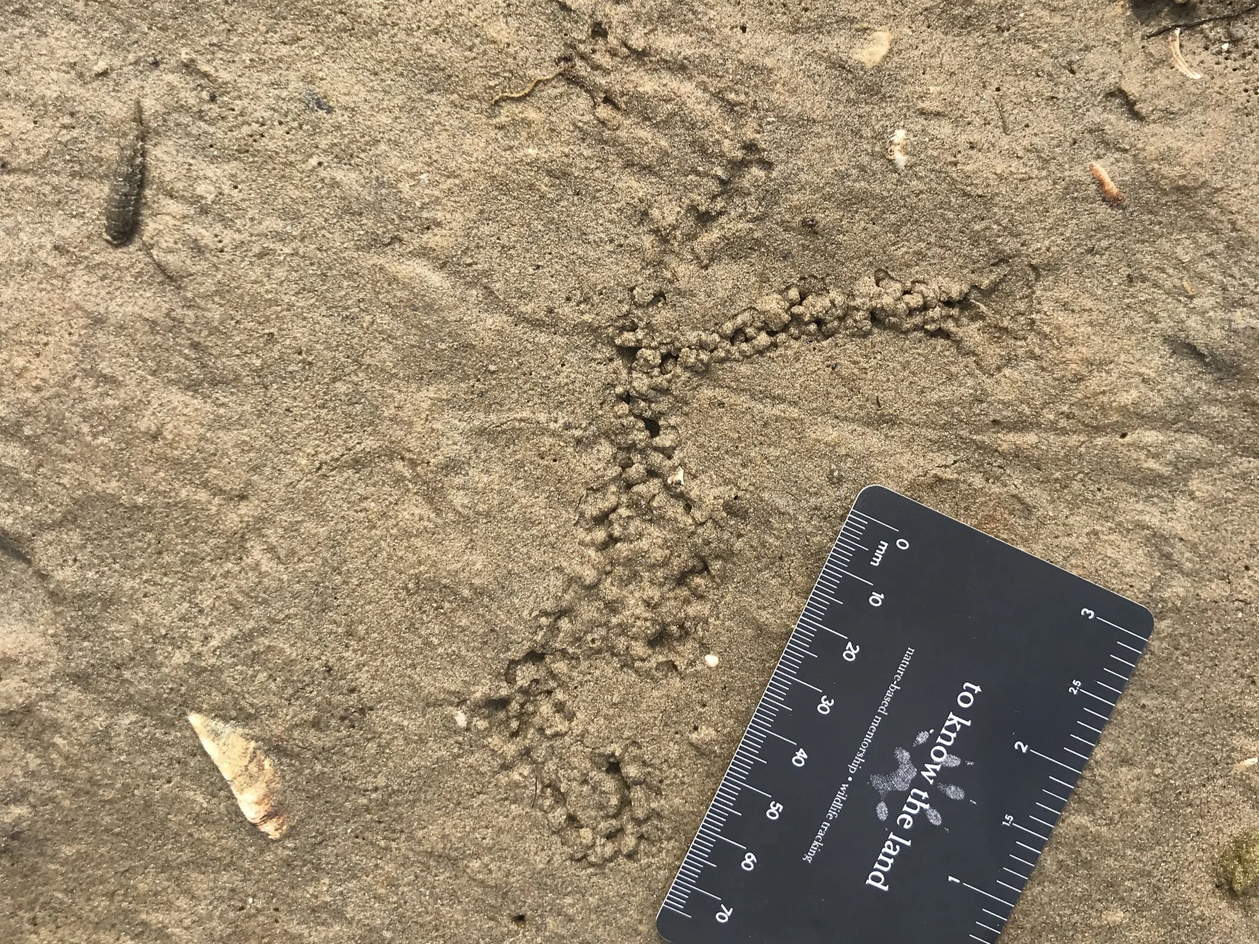 IMG_4414 edit-min.JPG