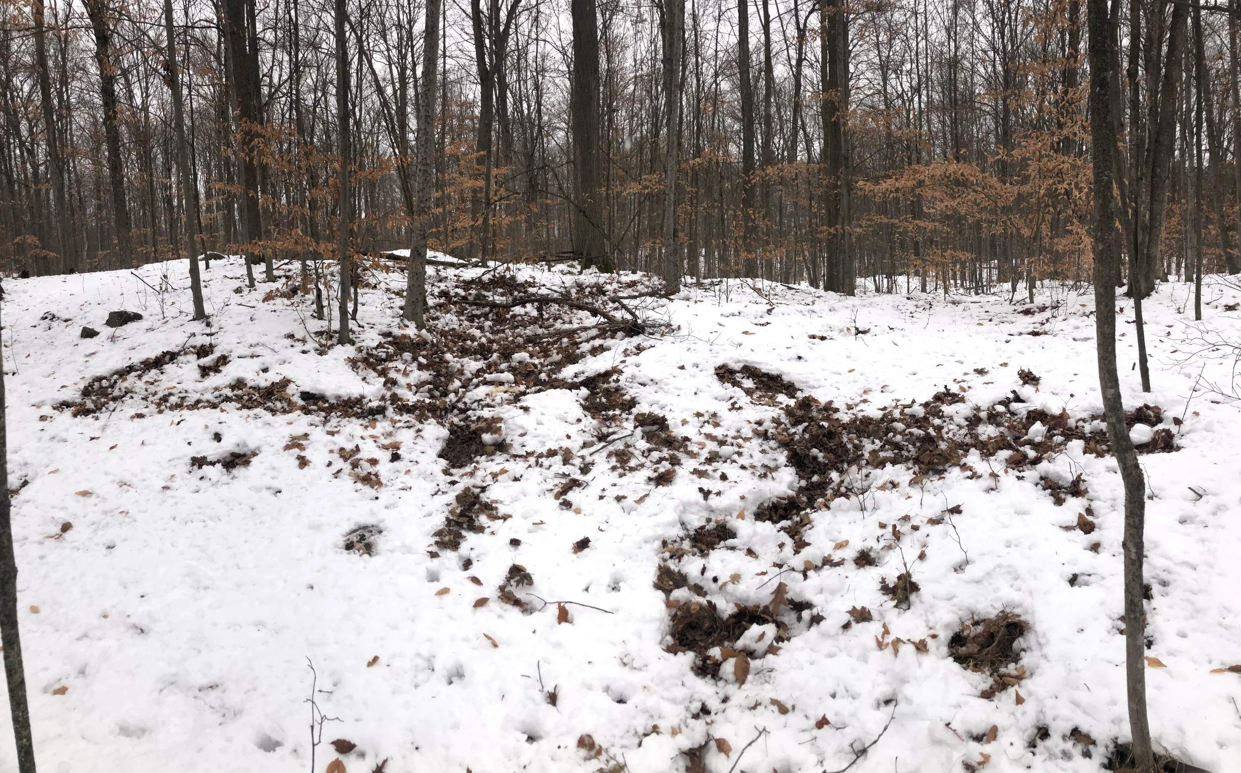 Ep. 280 : Holiday Tracking Stories 