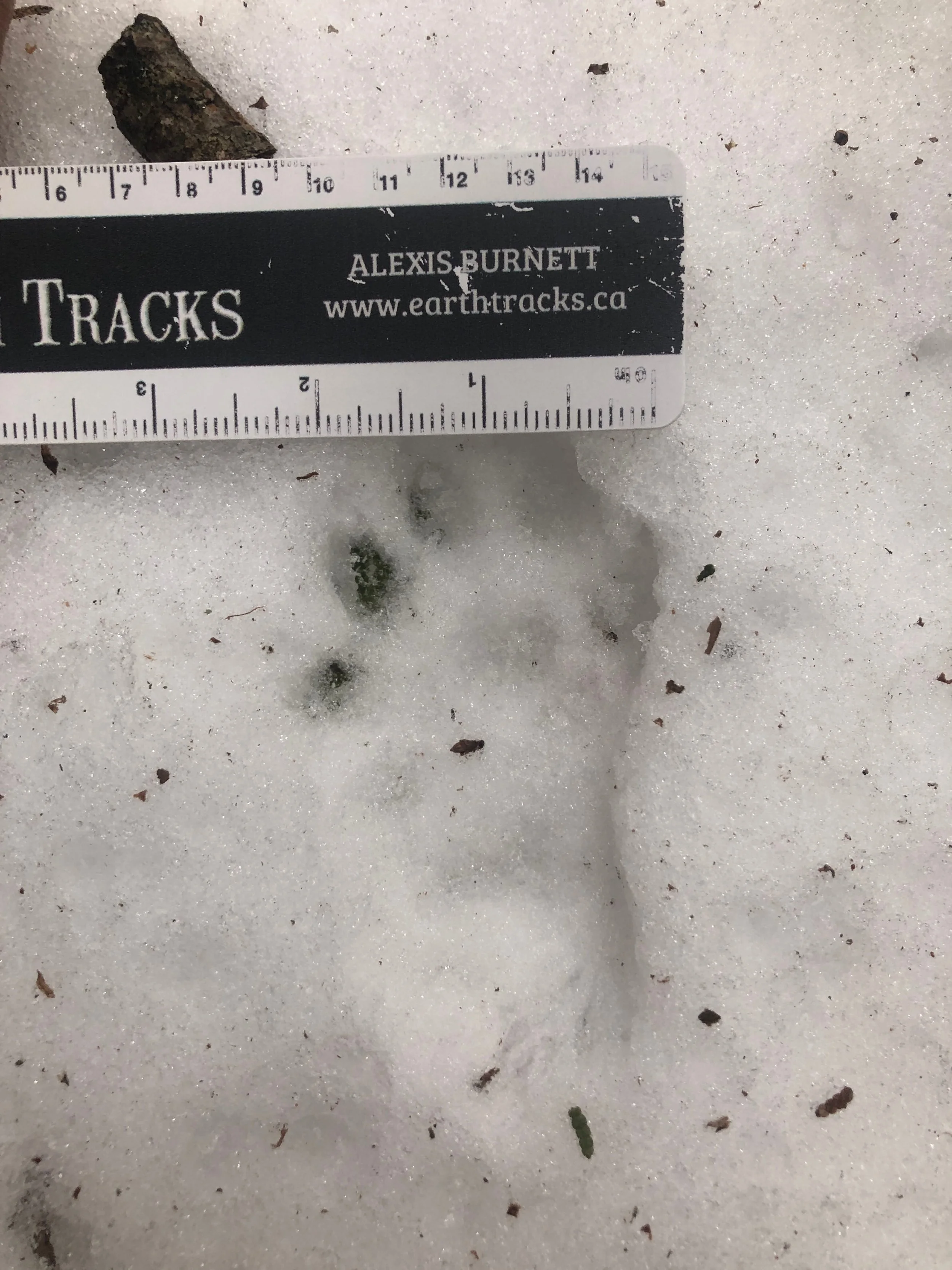 Highlights of Tracking in the Boyne Valley