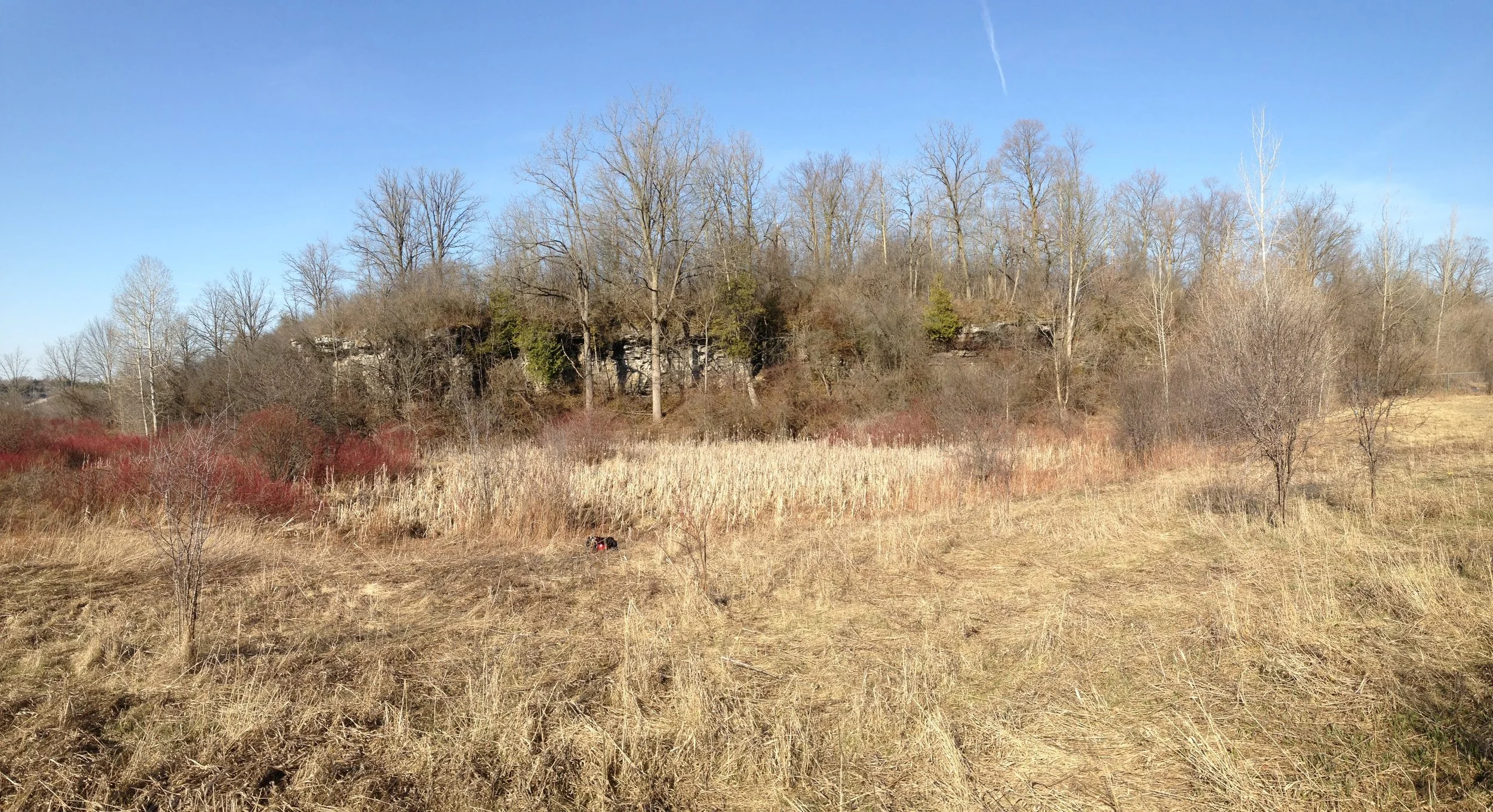 Ep. 215 : Of Soras…